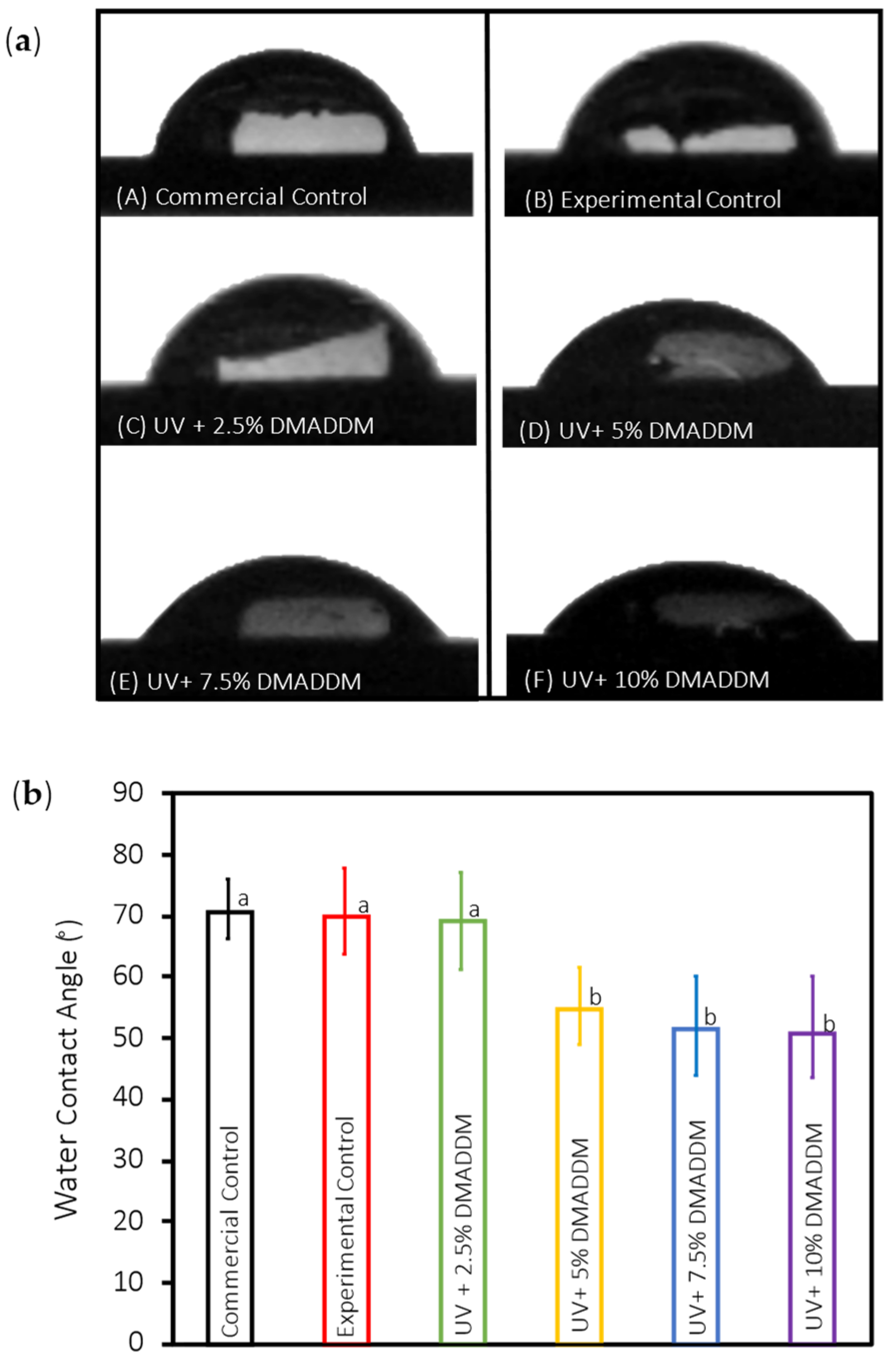Coatings 14 01370 g002
