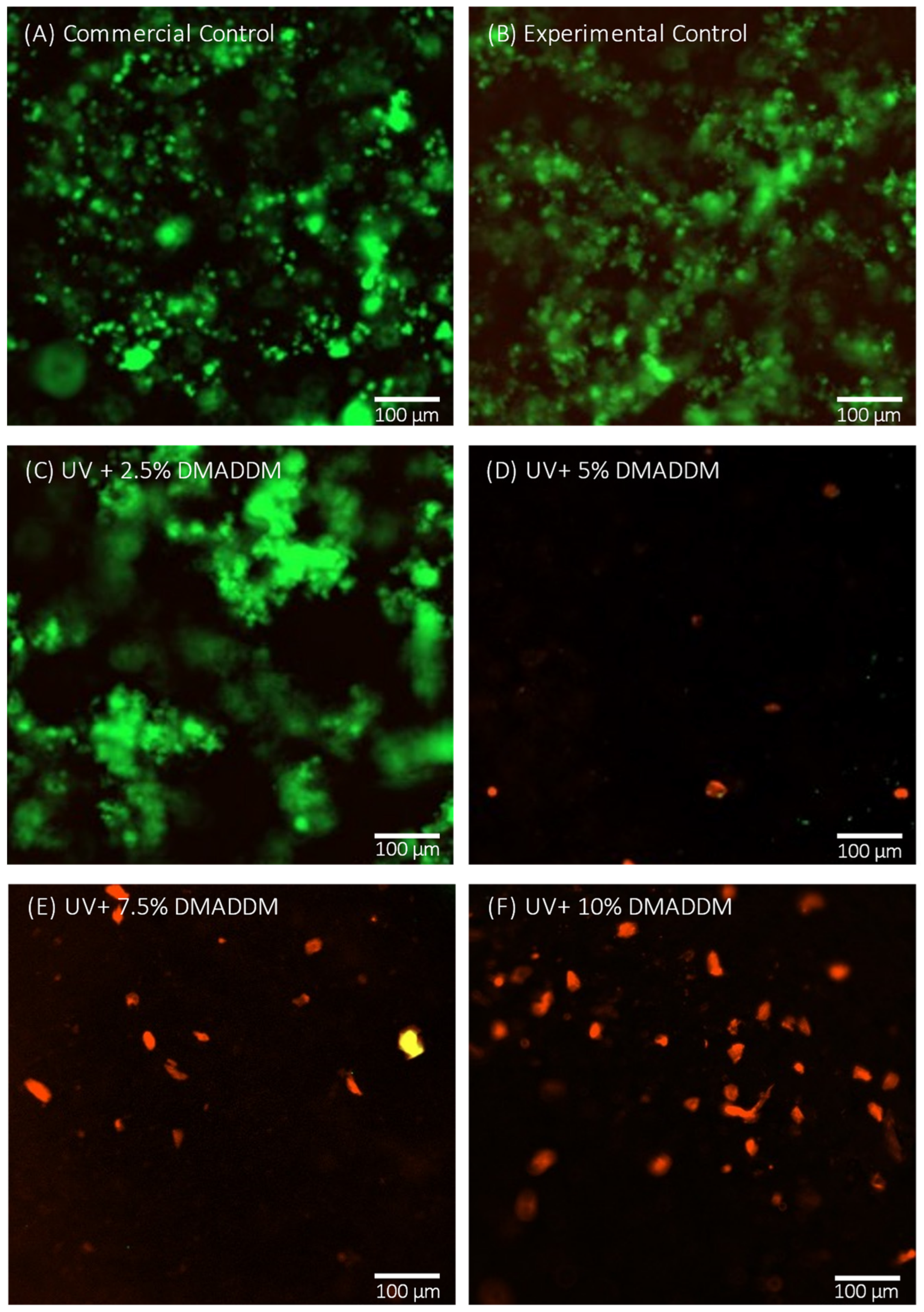 Coatings 14 01370 g007