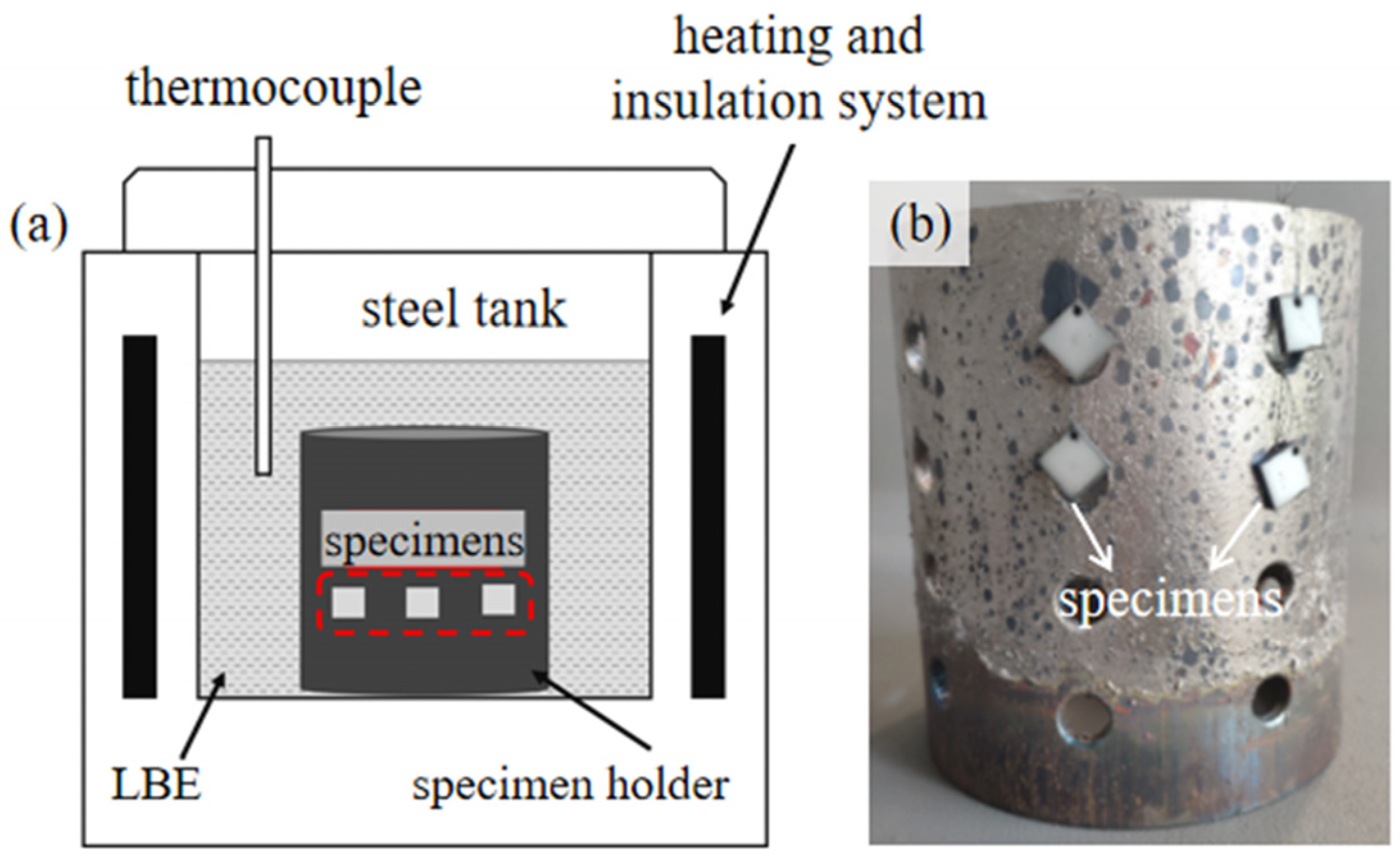 Coatings 14 01371 g001