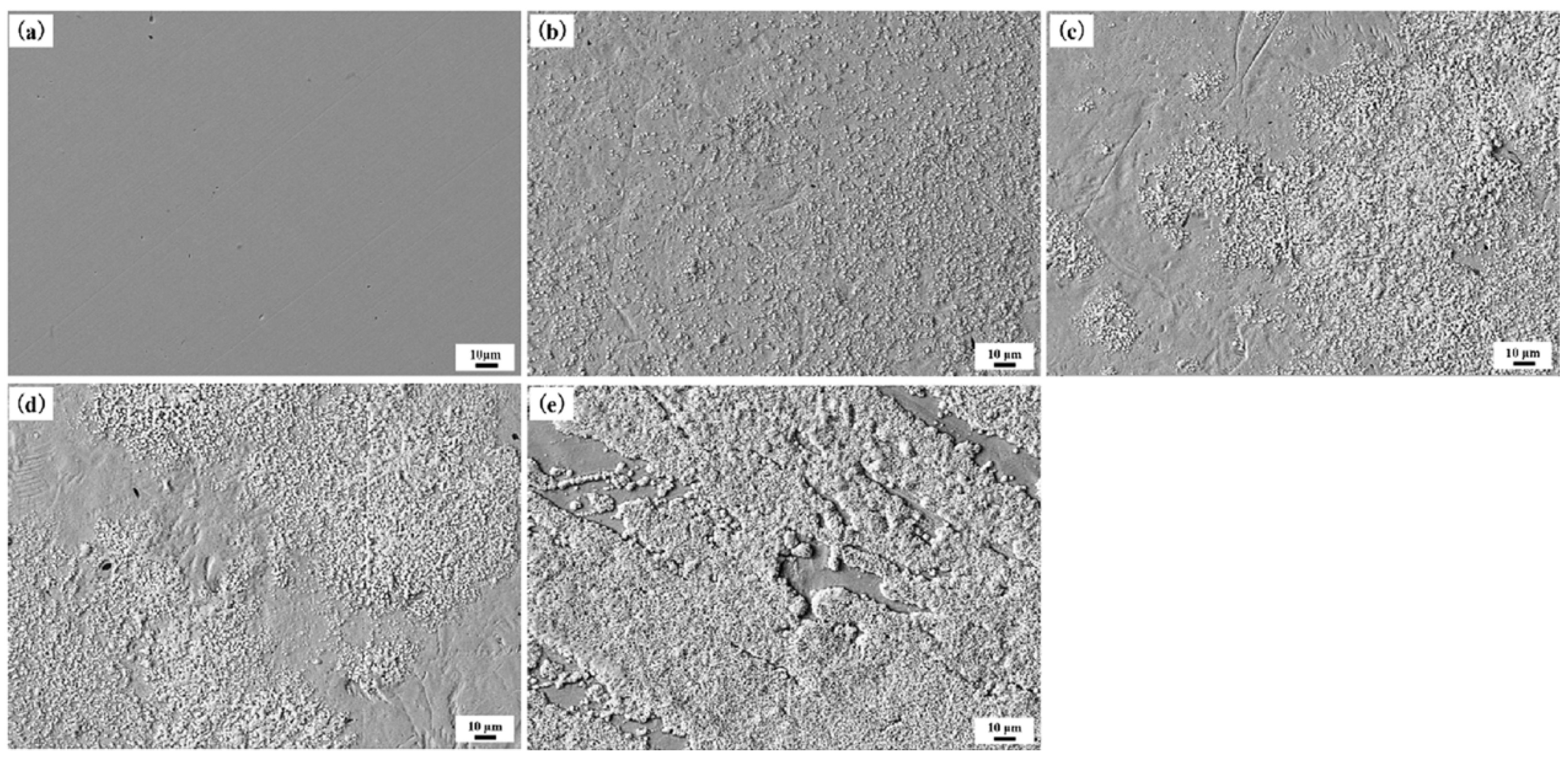 Coatings 14 01371 g005