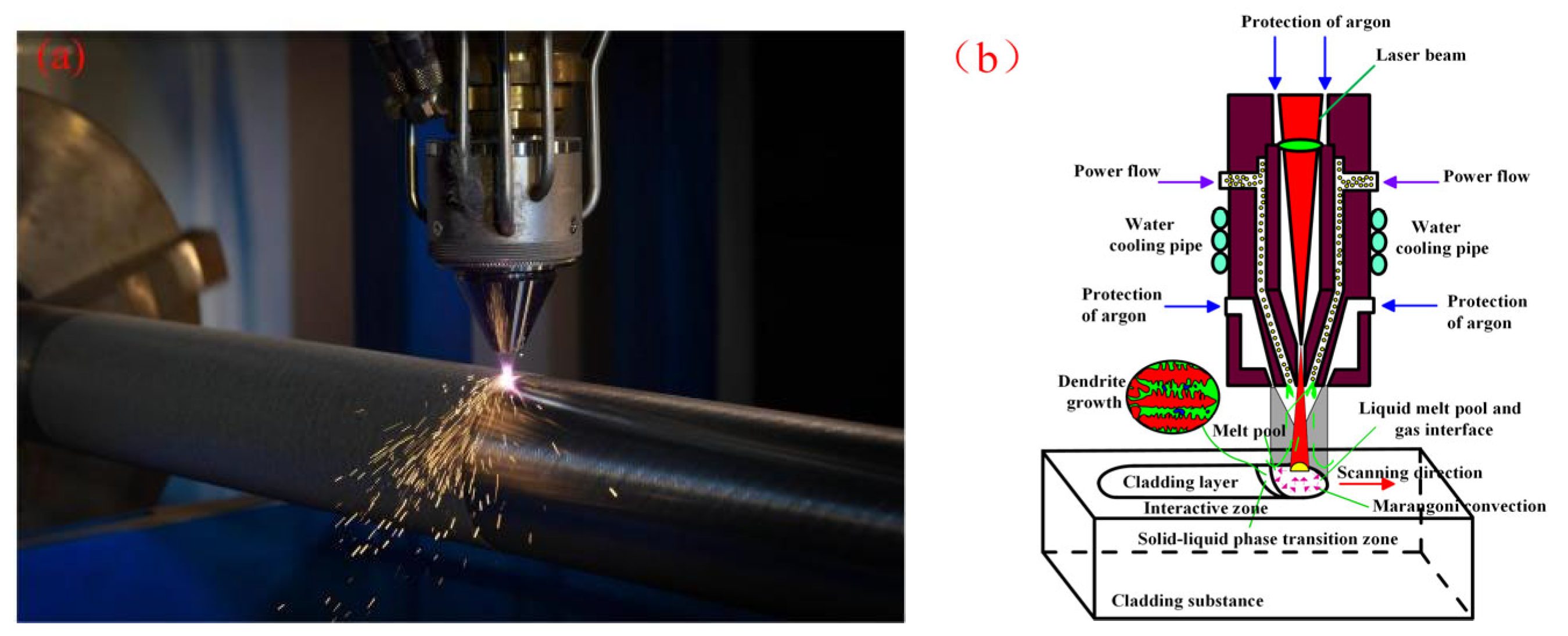Coatings 14 01381 g001