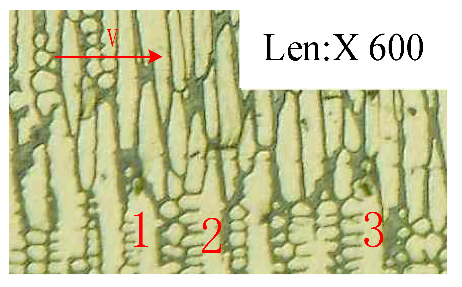 Coatings 14 01381 g018