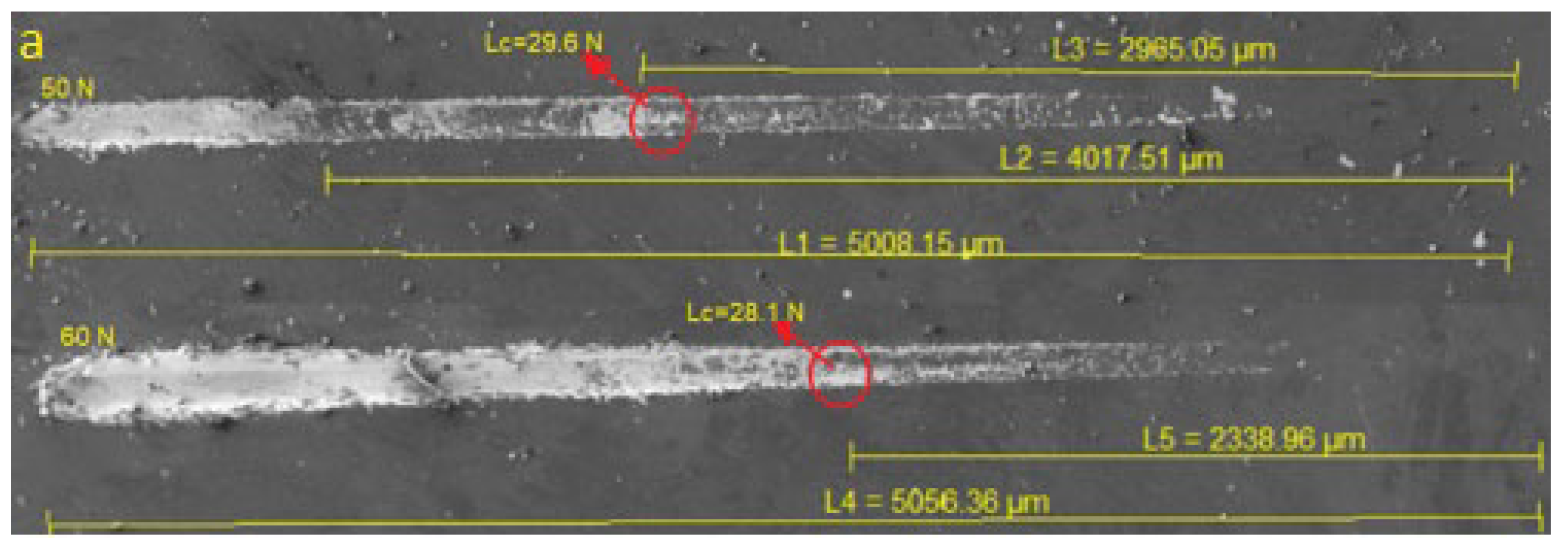 Coatings 14 01393 g010a