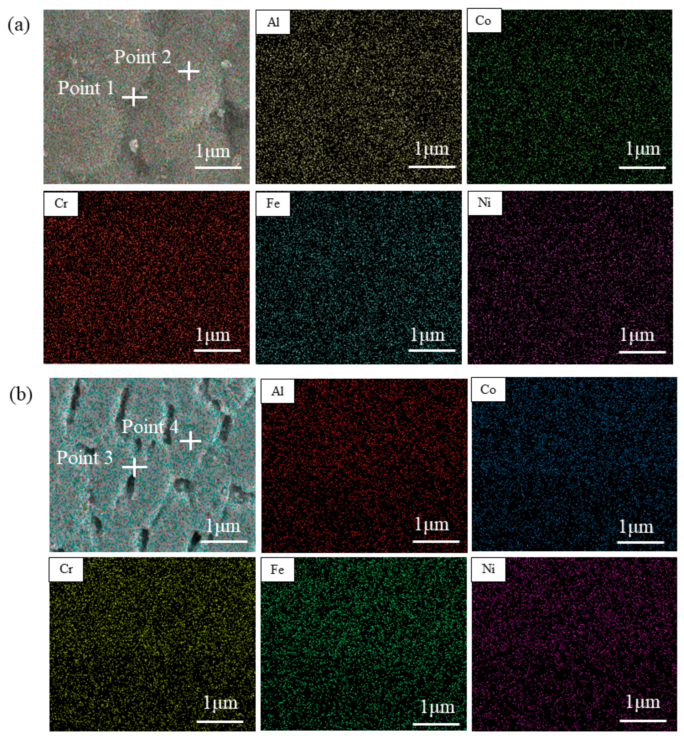 Coatings 14 01394 g007