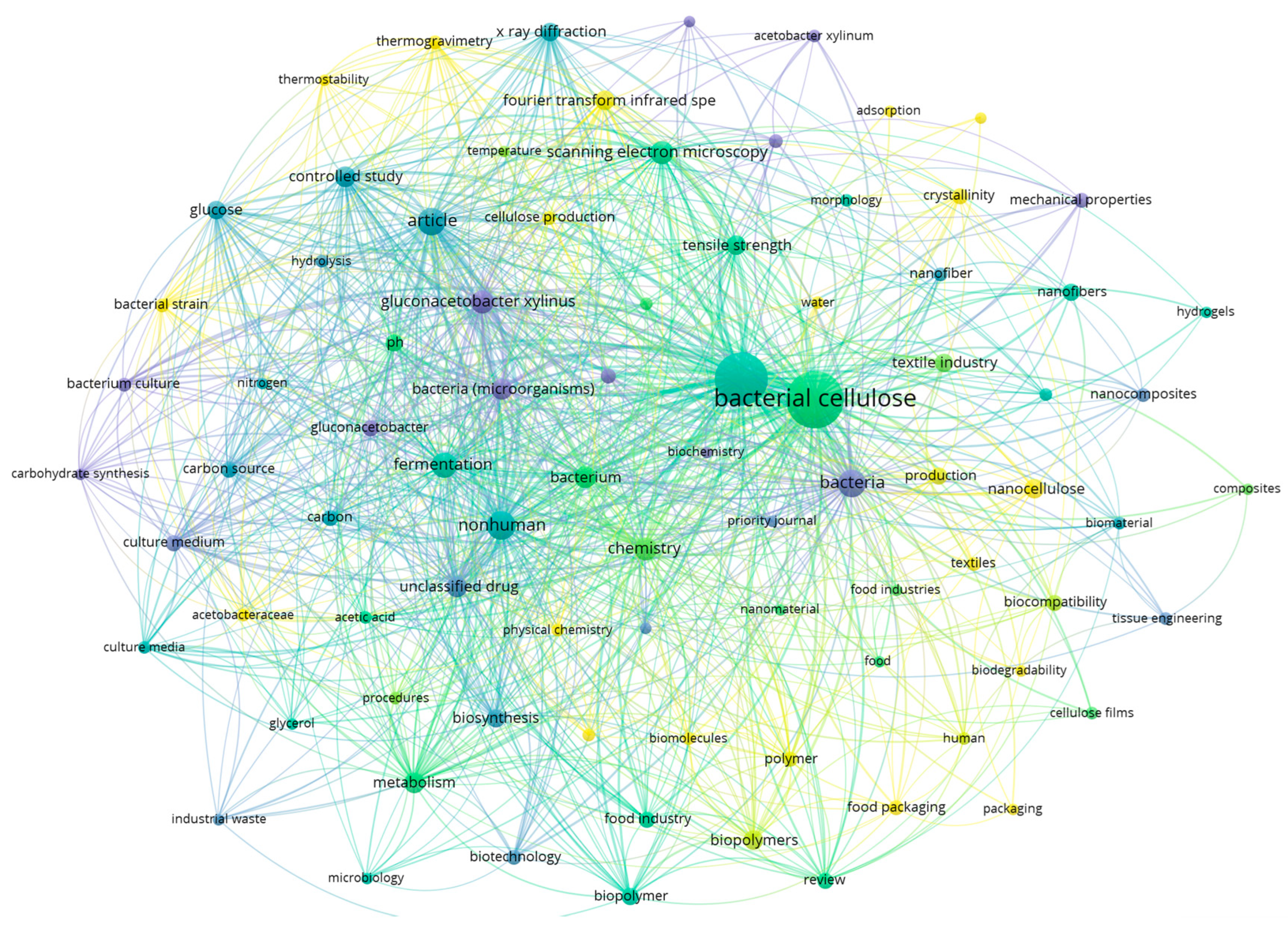 Coatings 14 01401 g001