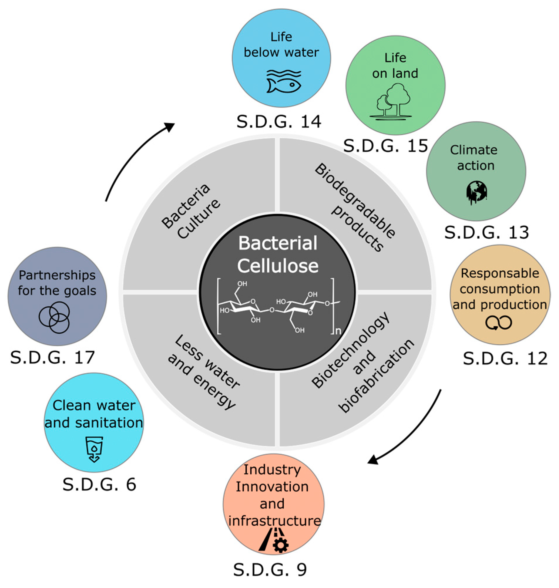 Coatings 14 01401 g002