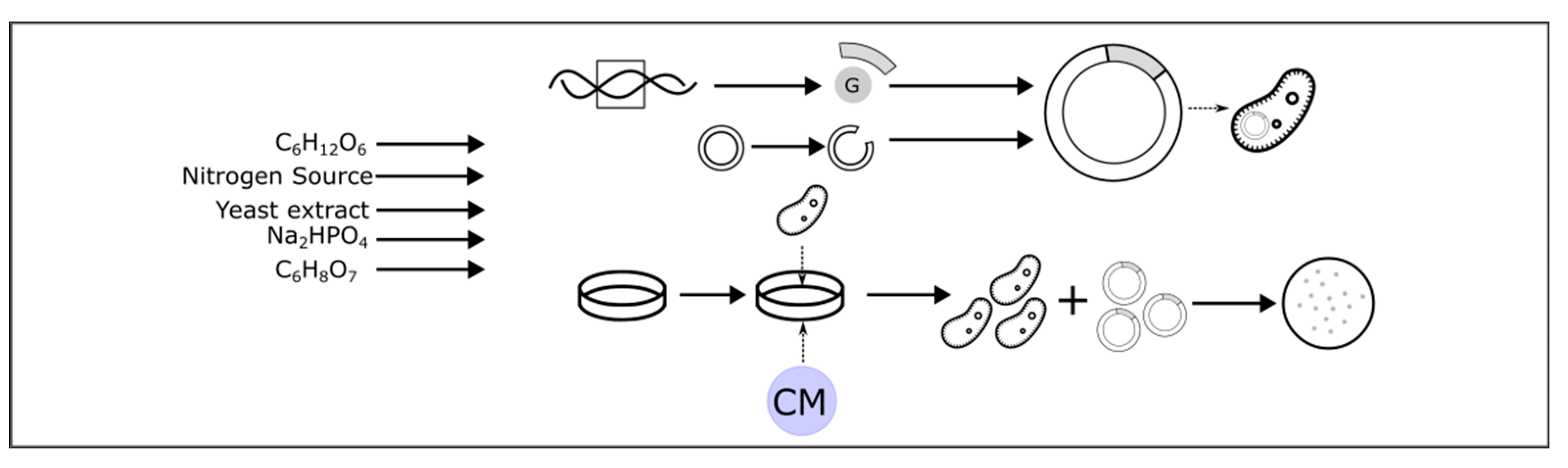 Coatings 14 01401 g006