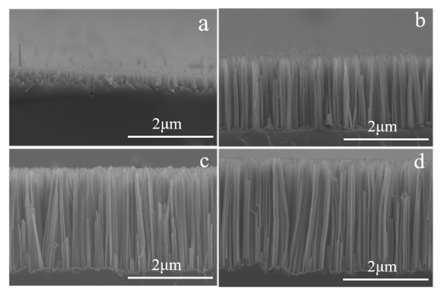 Coatings 14 01405 g002