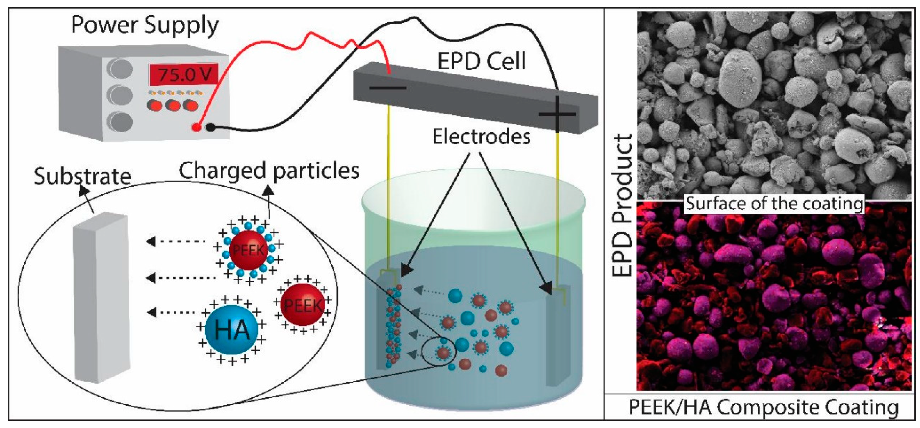 Coatings 14 01451 g011