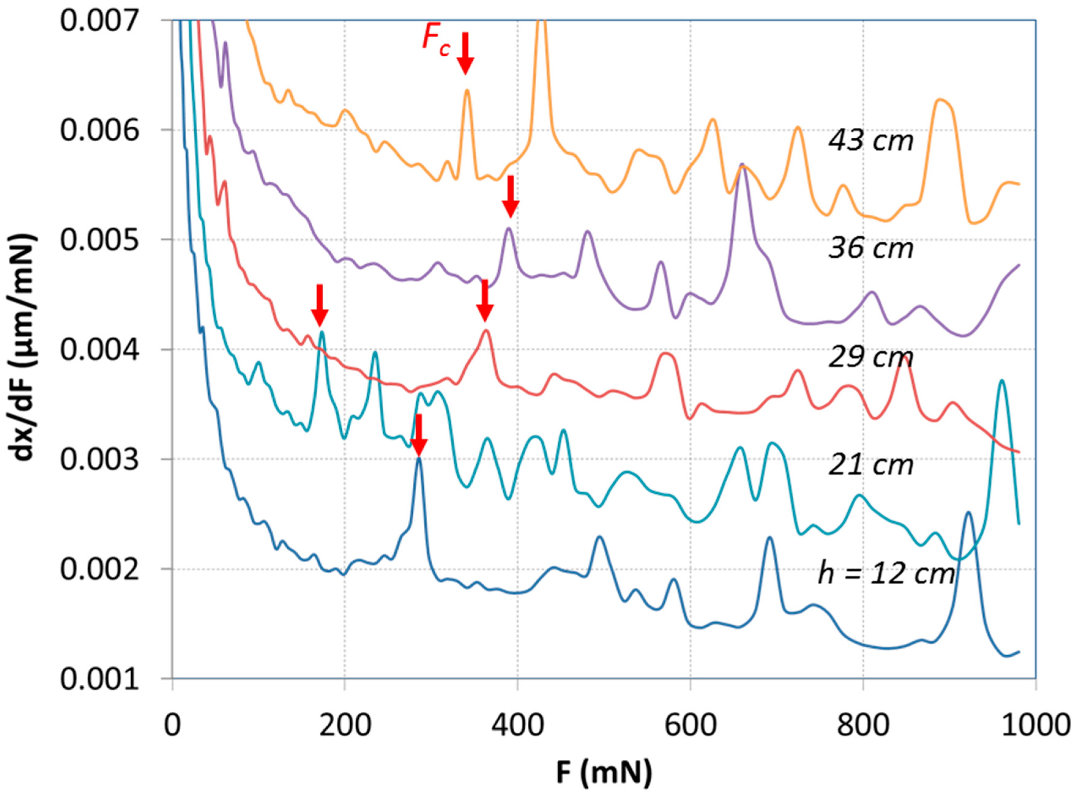 Coatings 14 01452 g006