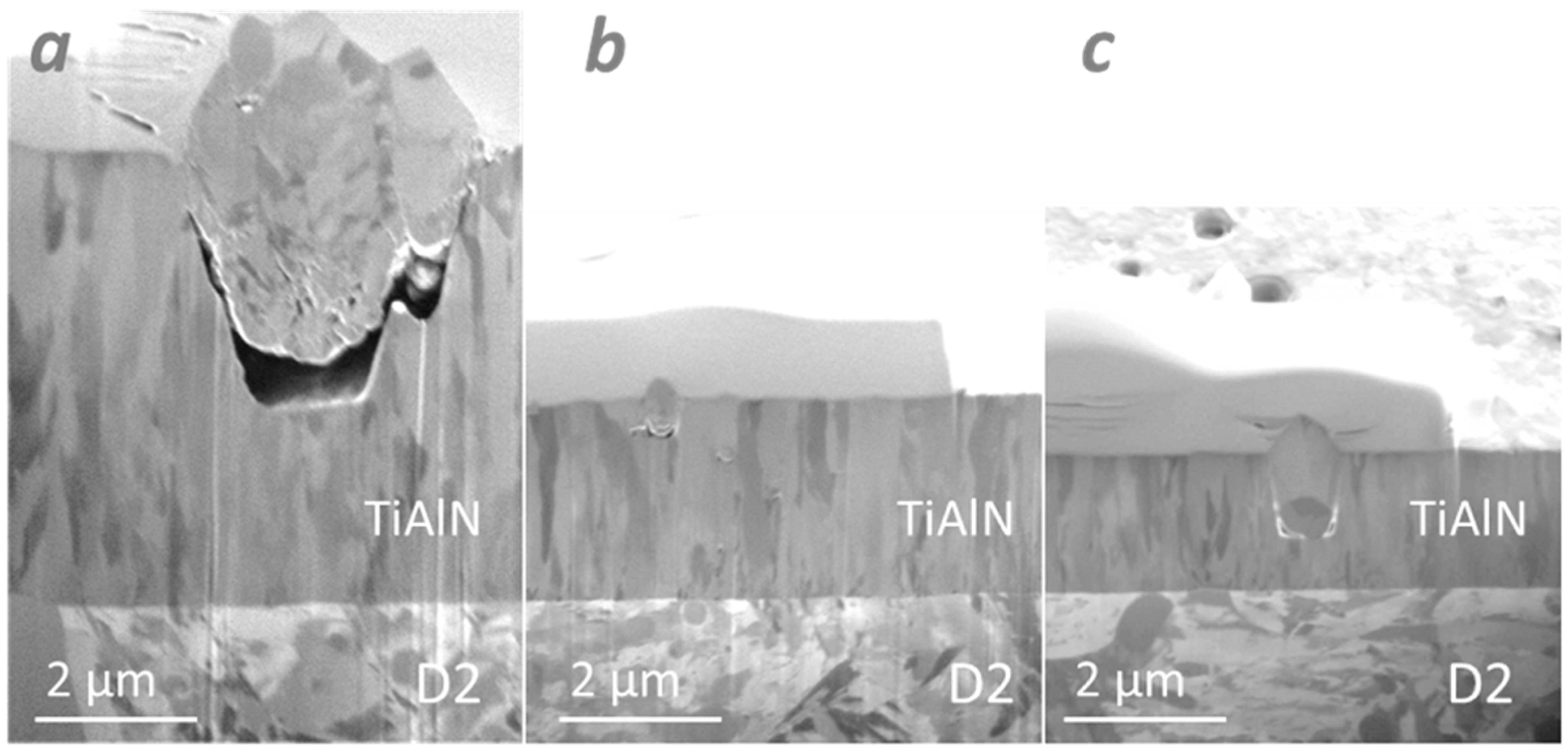 Coatings 14 01452 g008