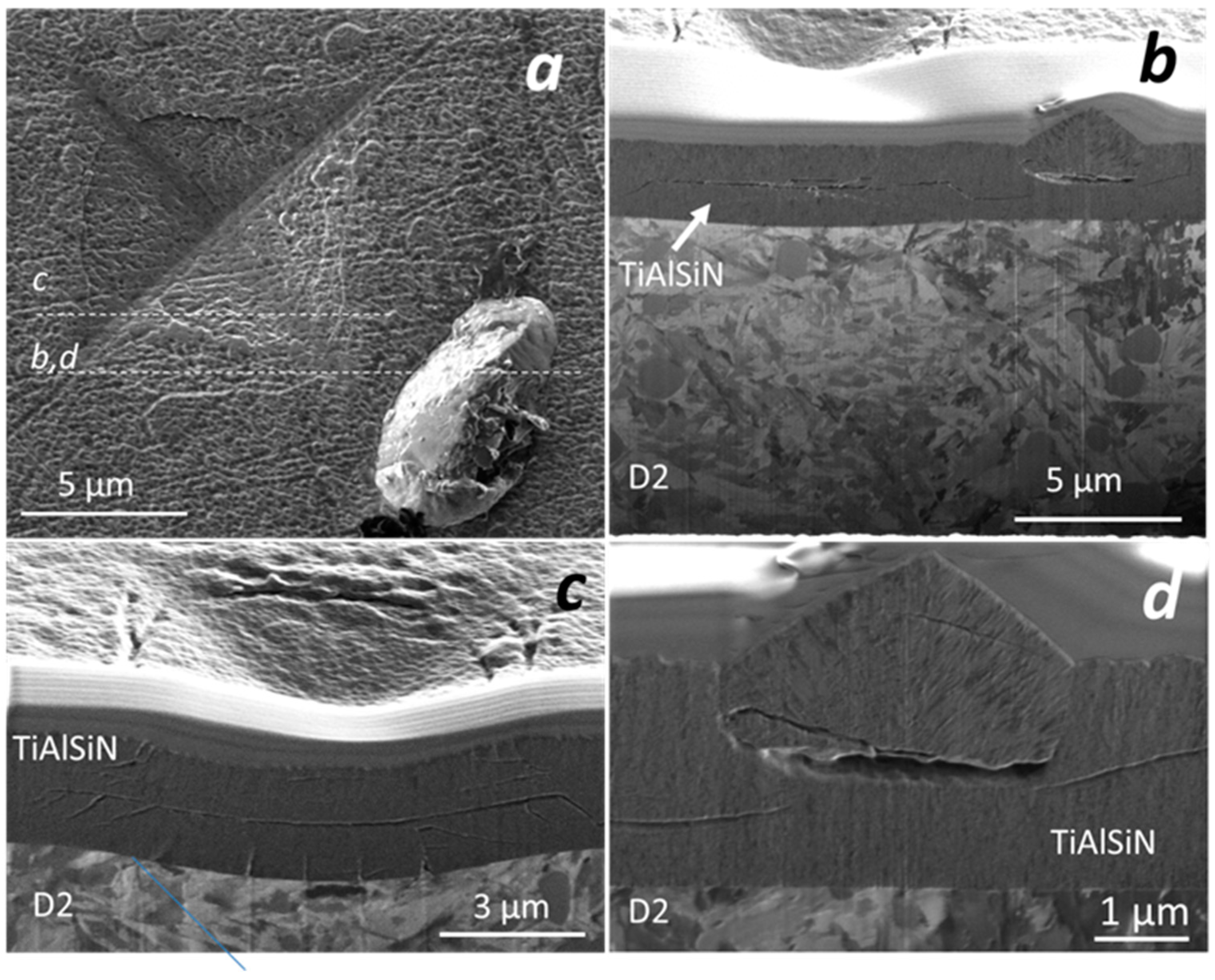 Coatings 14 01452 g011