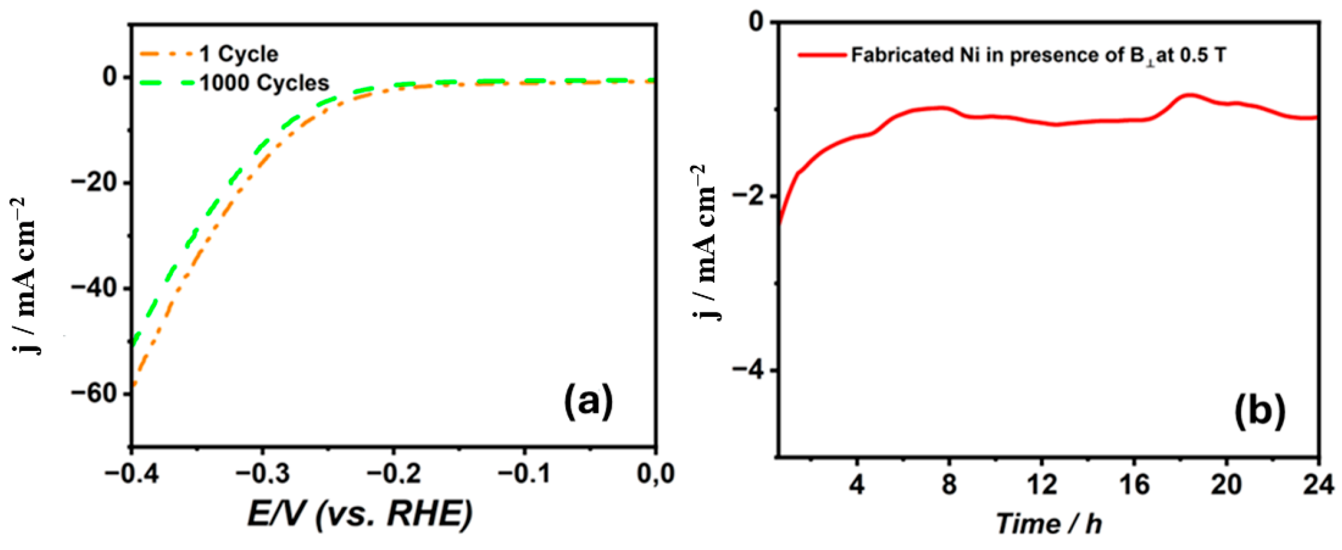 Coatings 14 01459 g007