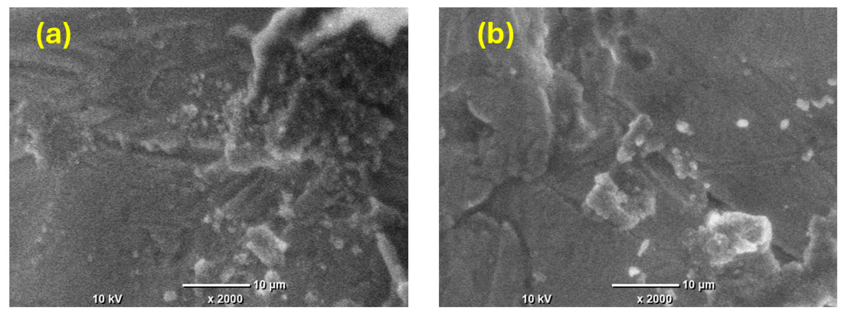 Coatings 14 01459 g008