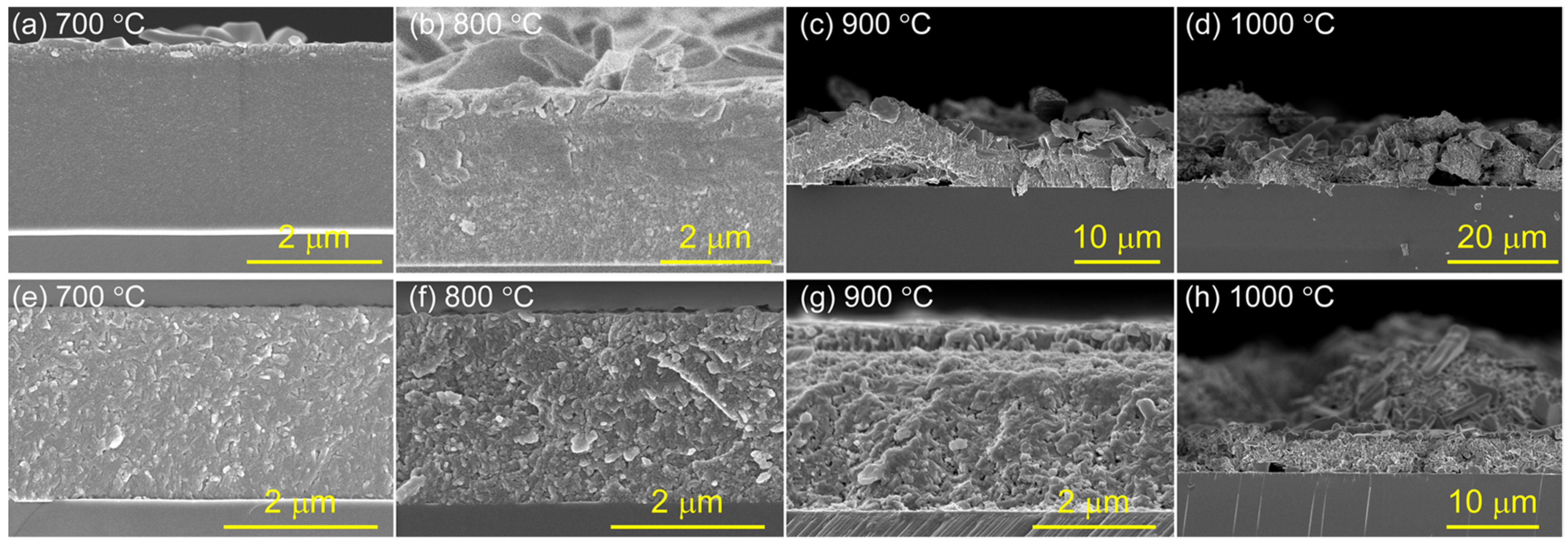 Coatings 14 01504 g006
