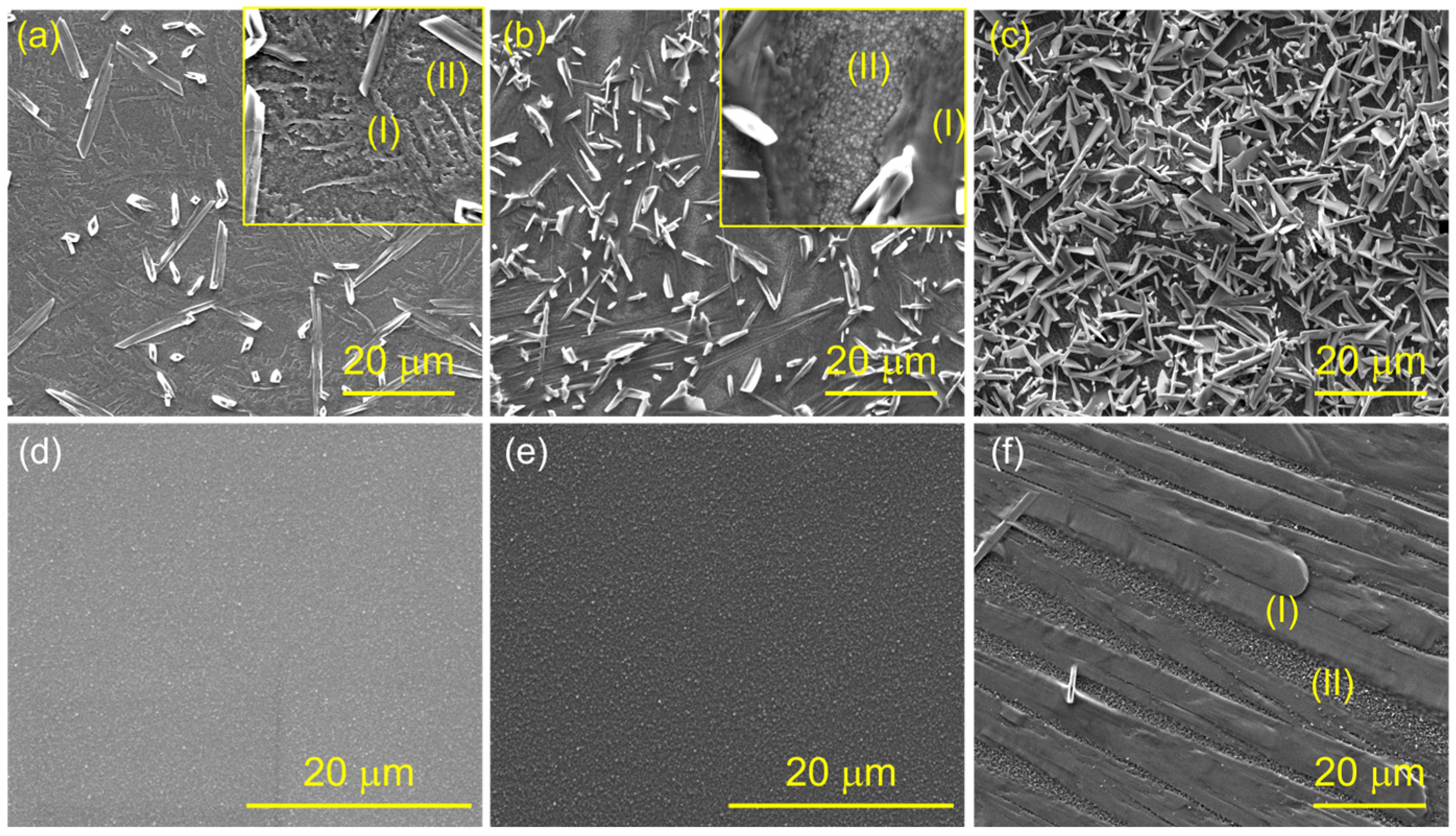 Coatings 14 01504 g007