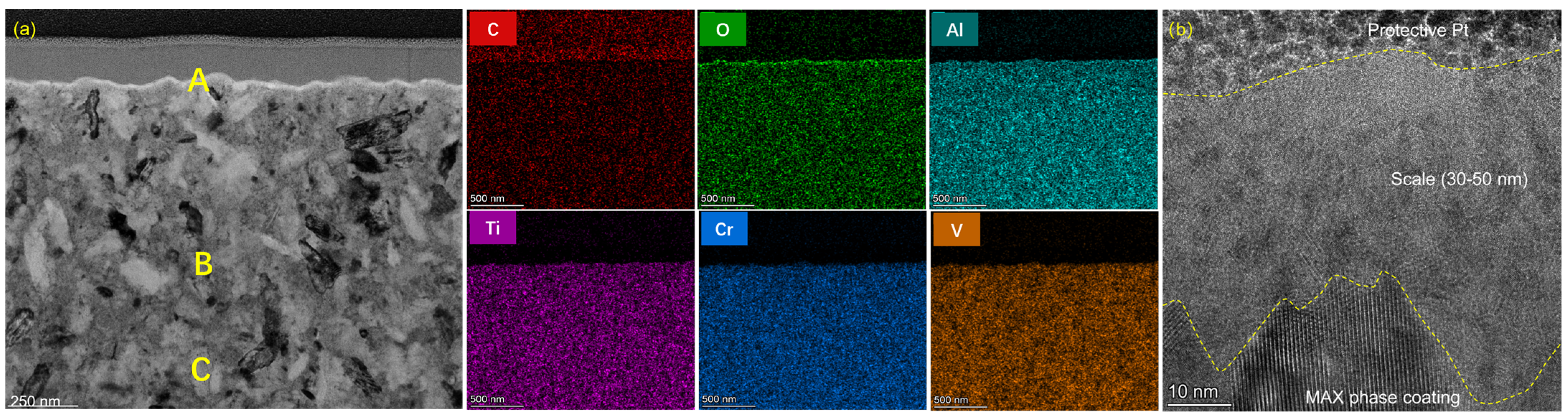 Coatings 14 01504 g010