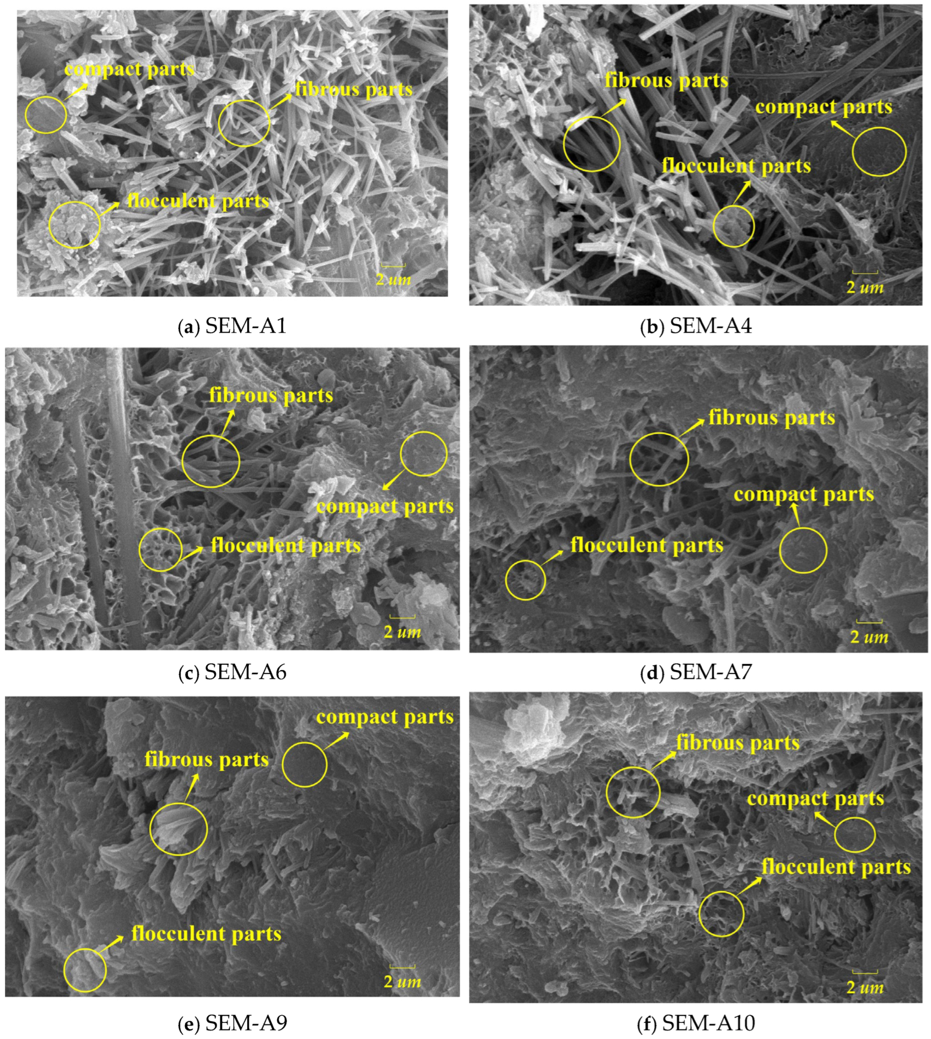 Coatings 14 01536 g013