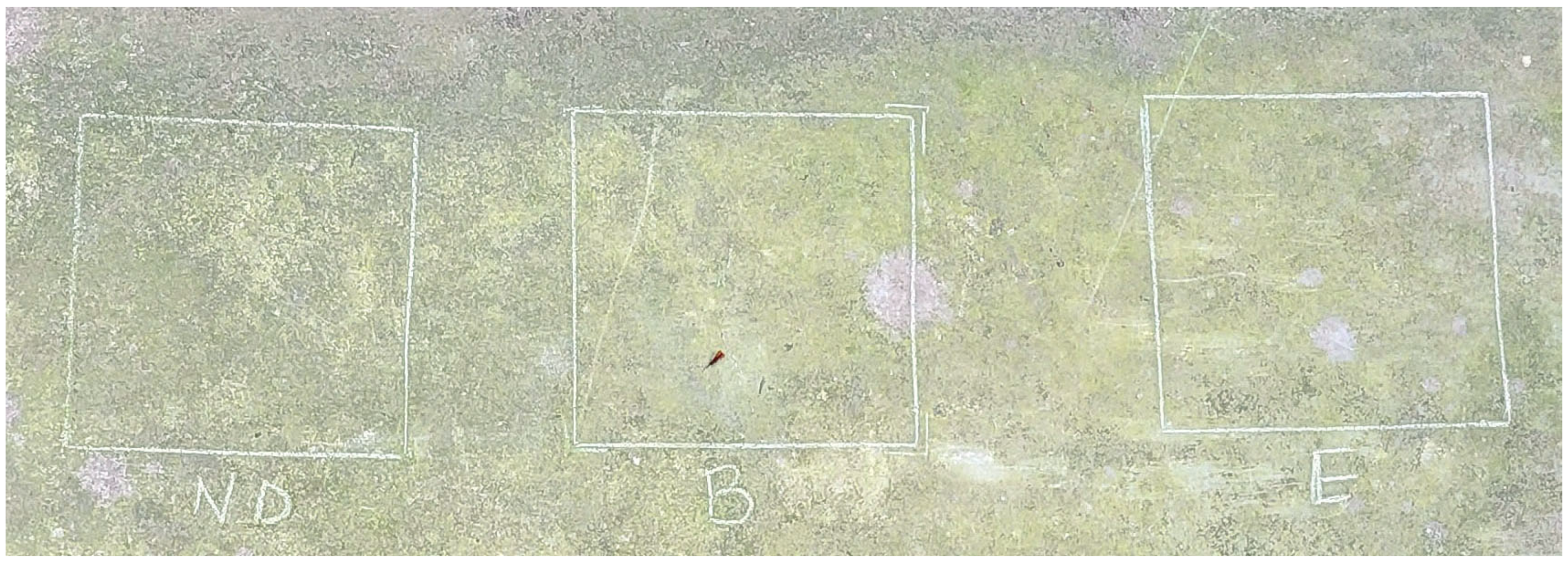 Coatings 14 01546 g001