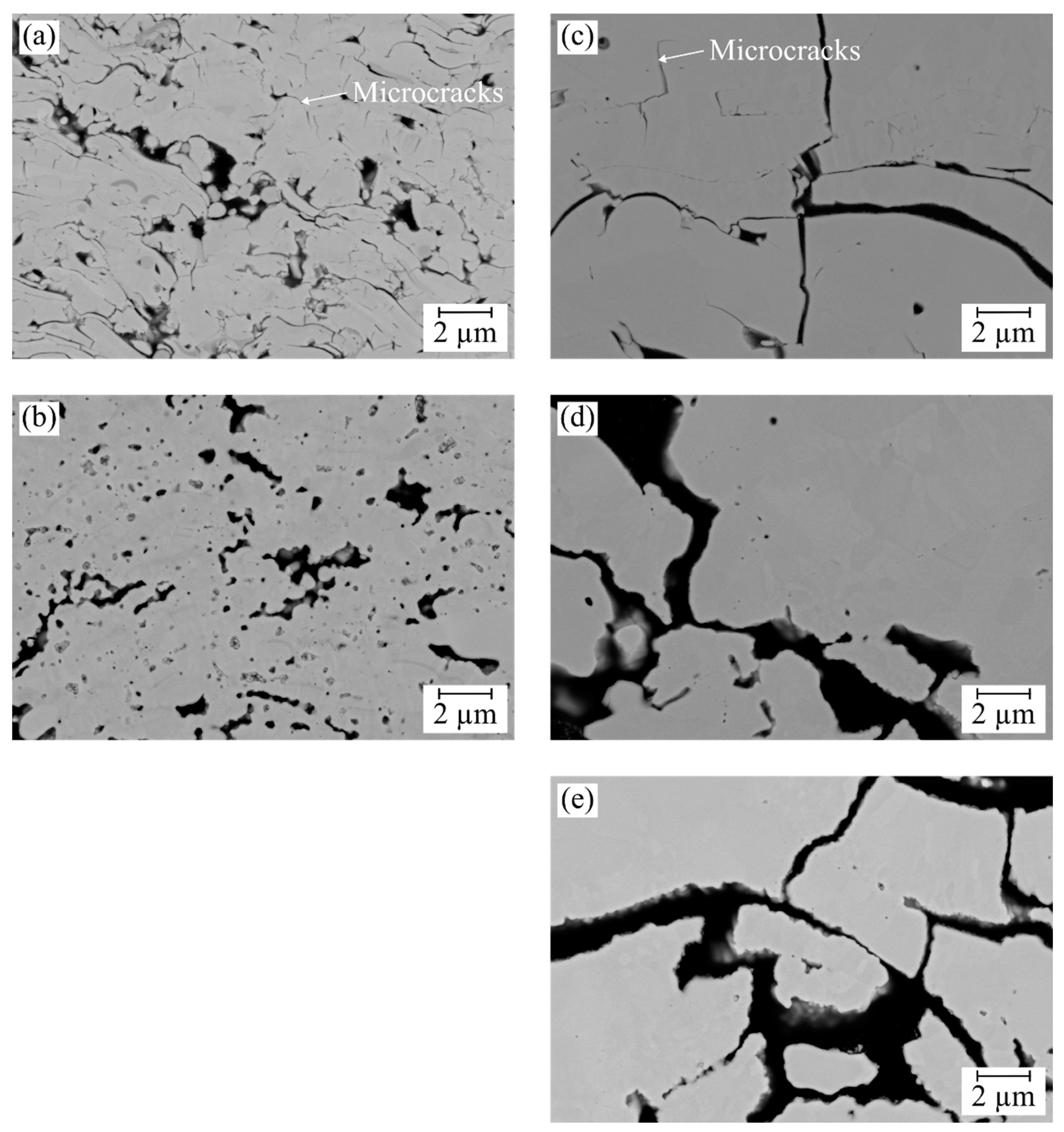 Coatings 14 01566 g007
