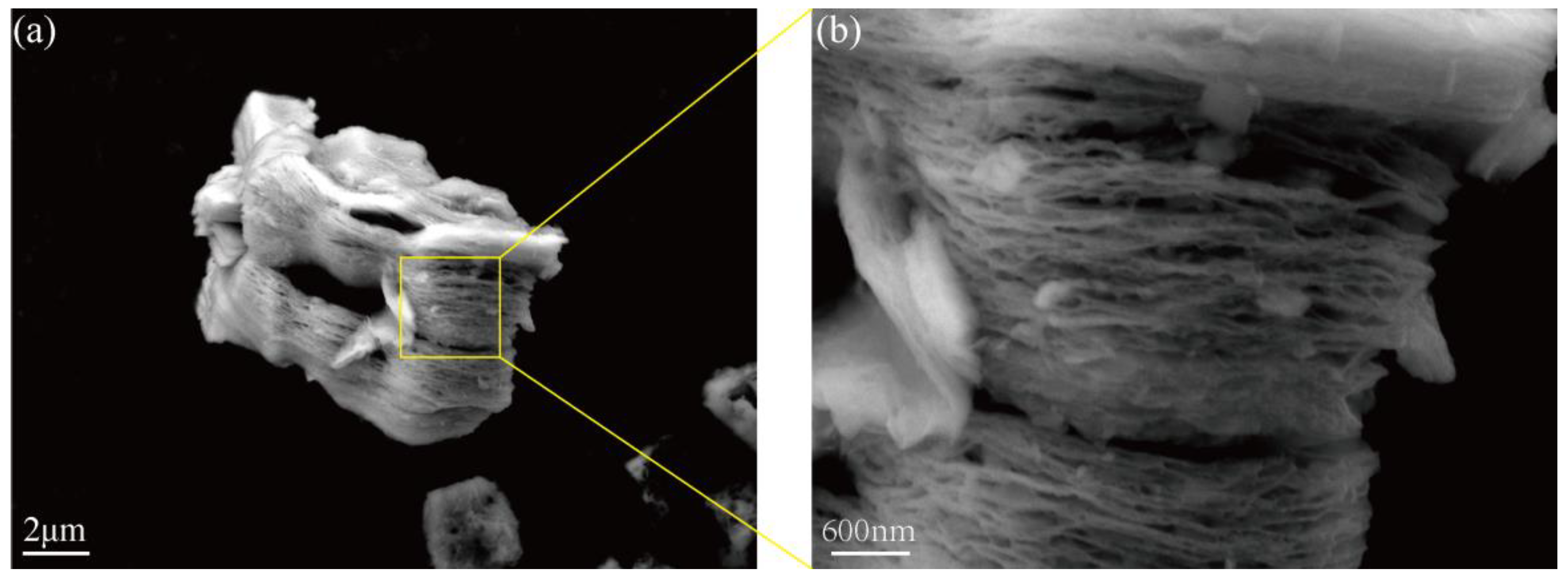 Coatings 14 01567 g004