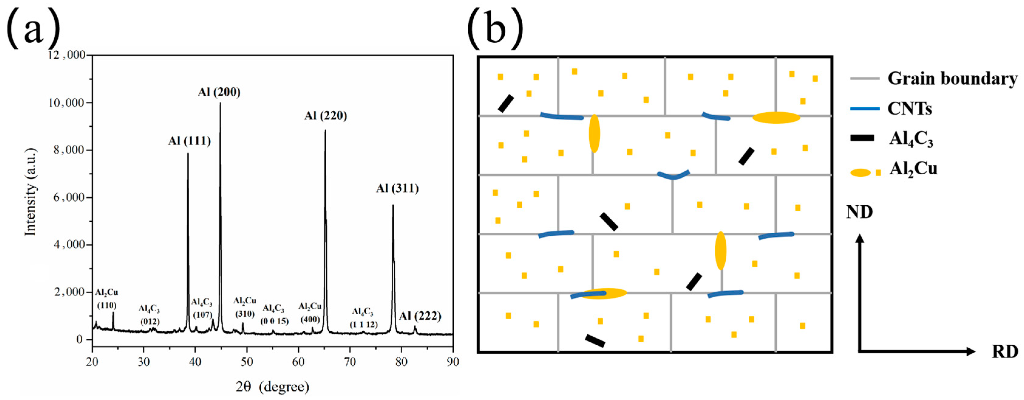 Coatings 14 01571 g001