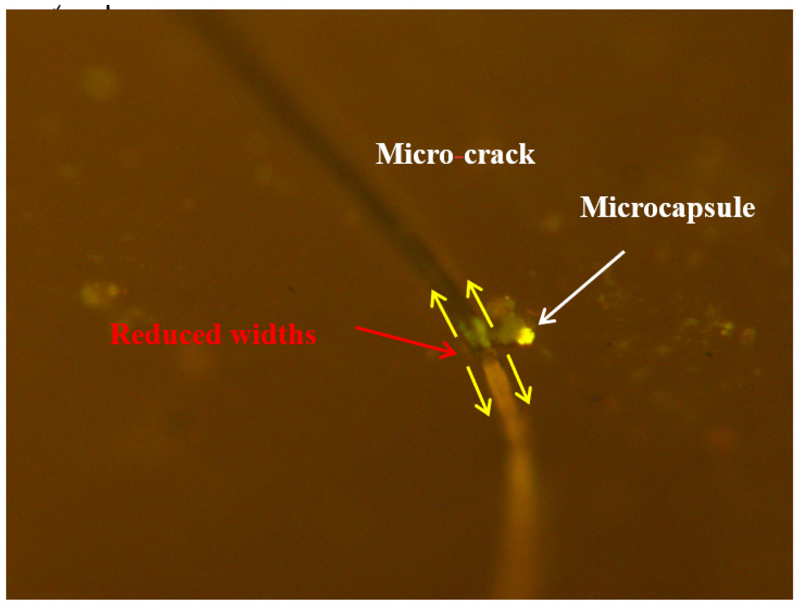 Coatings 14 01573 g015
