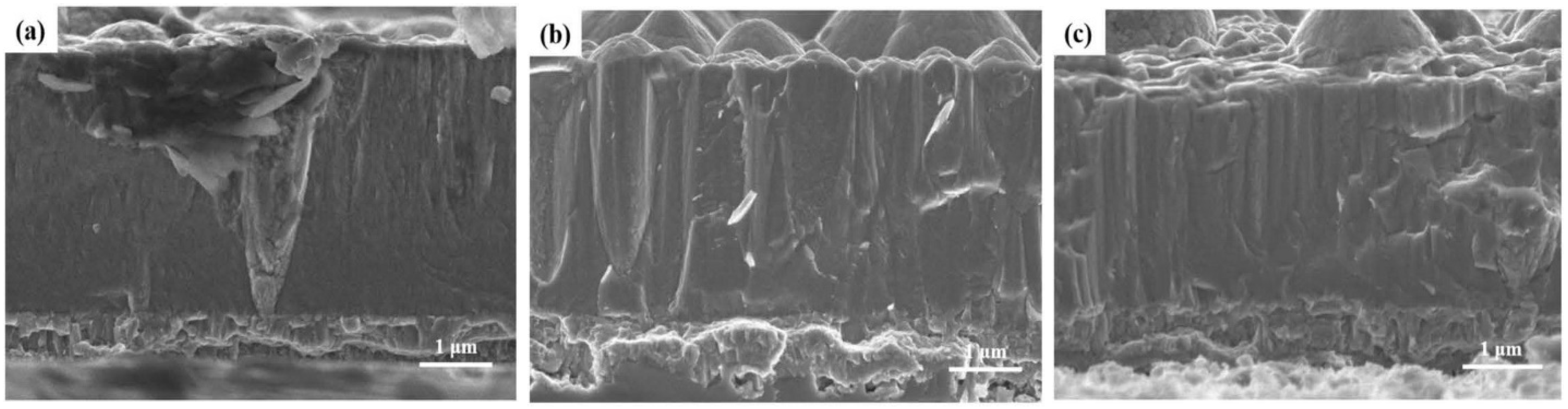 Coatings 14 01596 g007