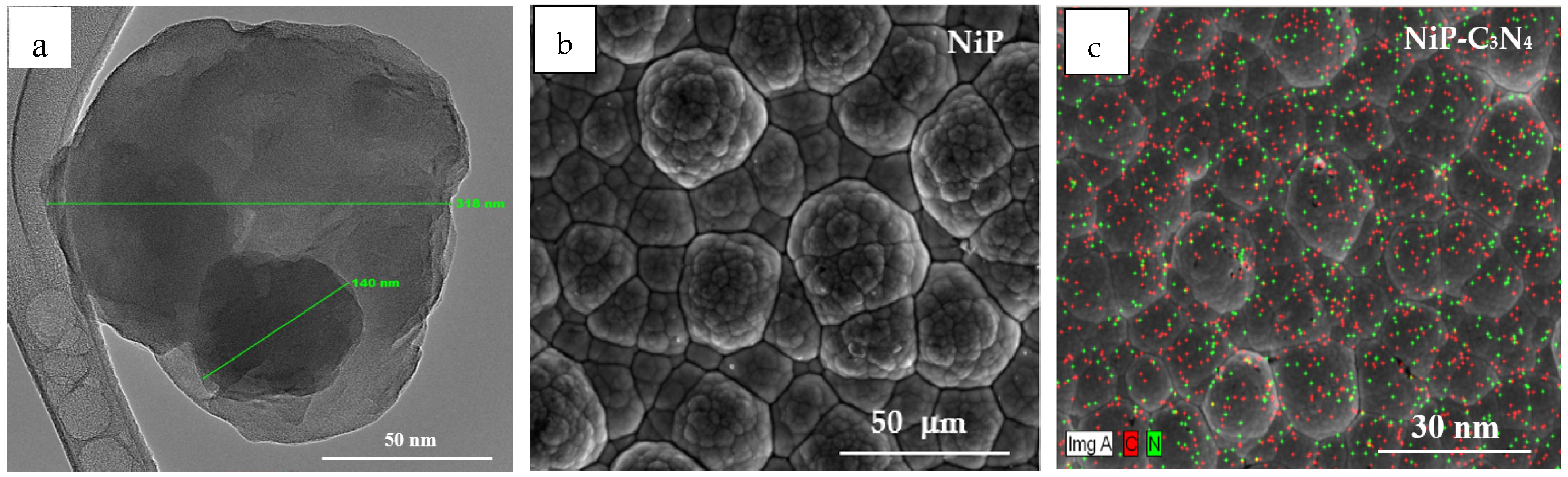 Coatings 14 01596 g013