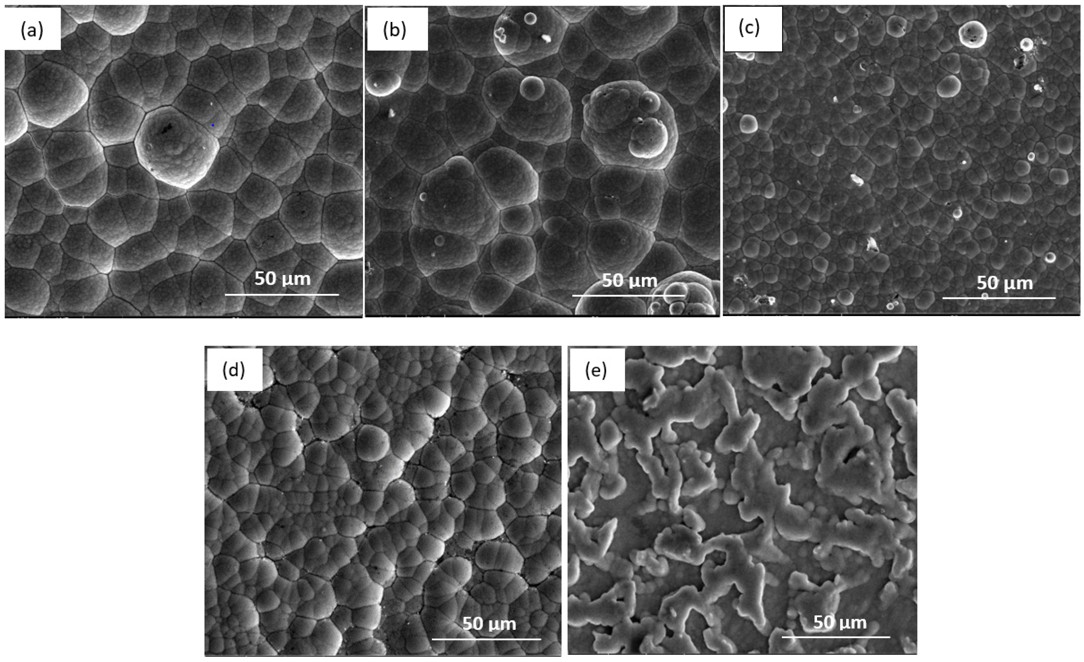 Coatings 14 01596 g016