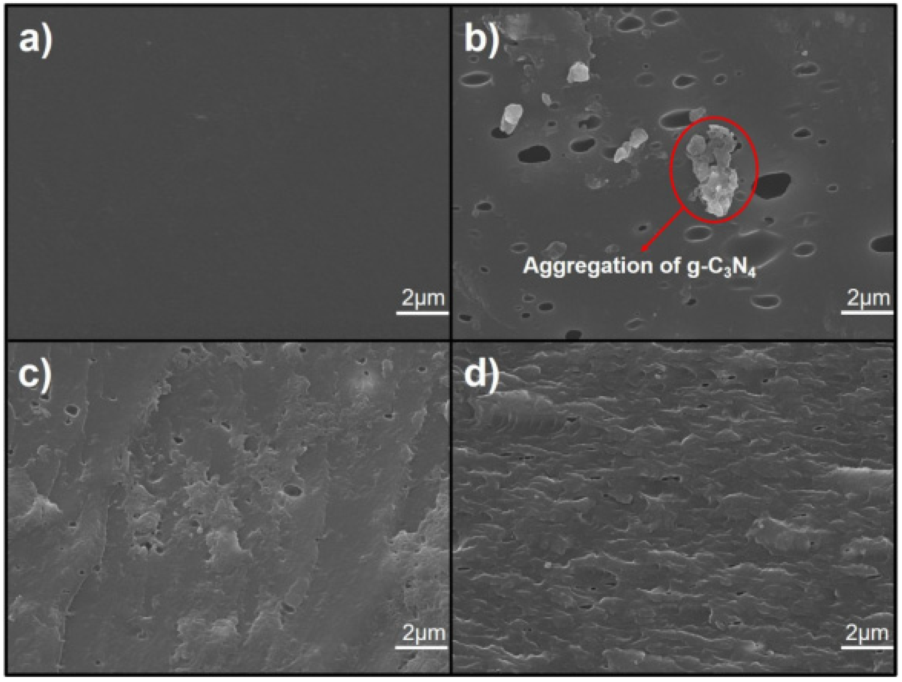 Coatings 14 01596 g021