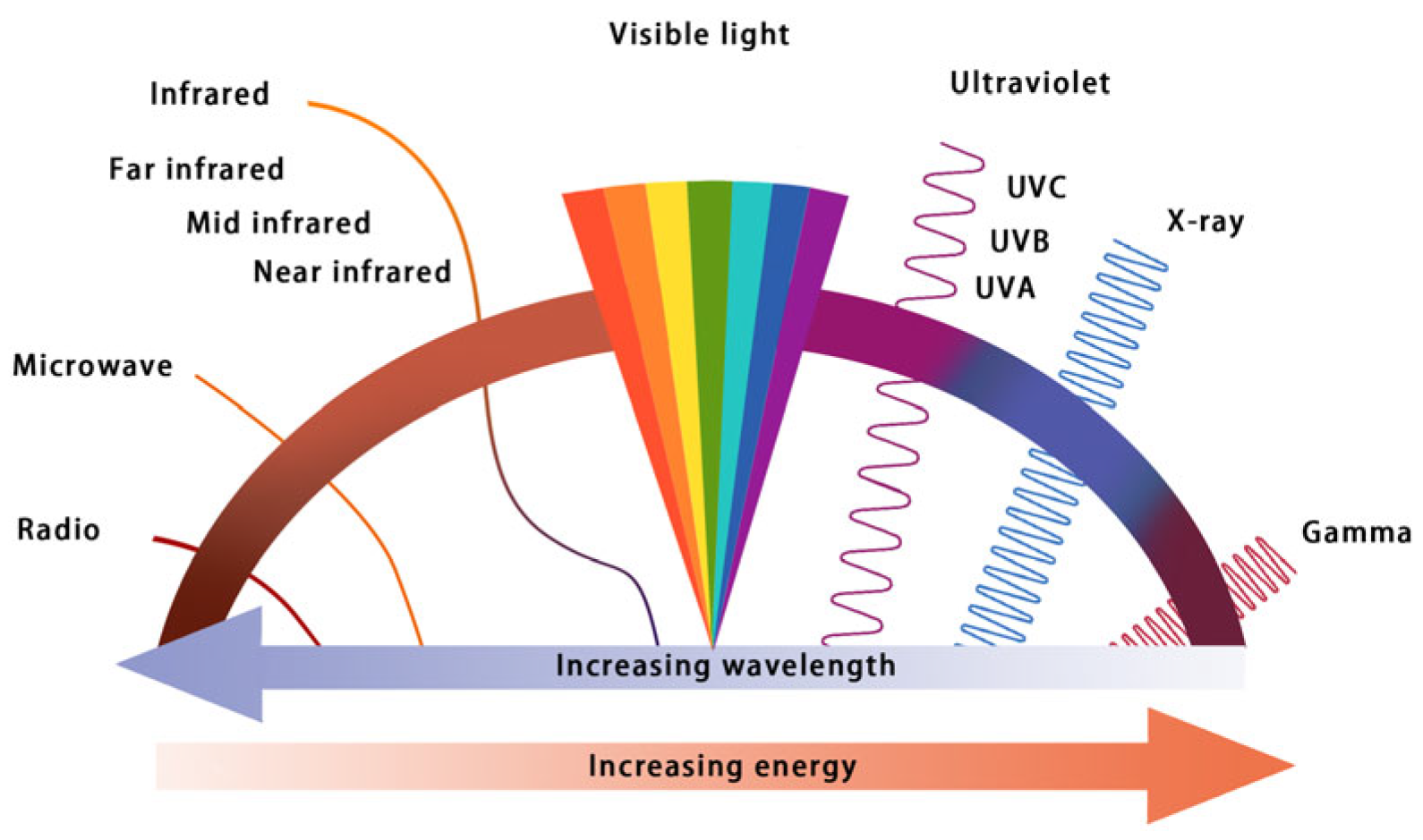 Coatings 14 01600 g001 Coatings 14 01600 g001