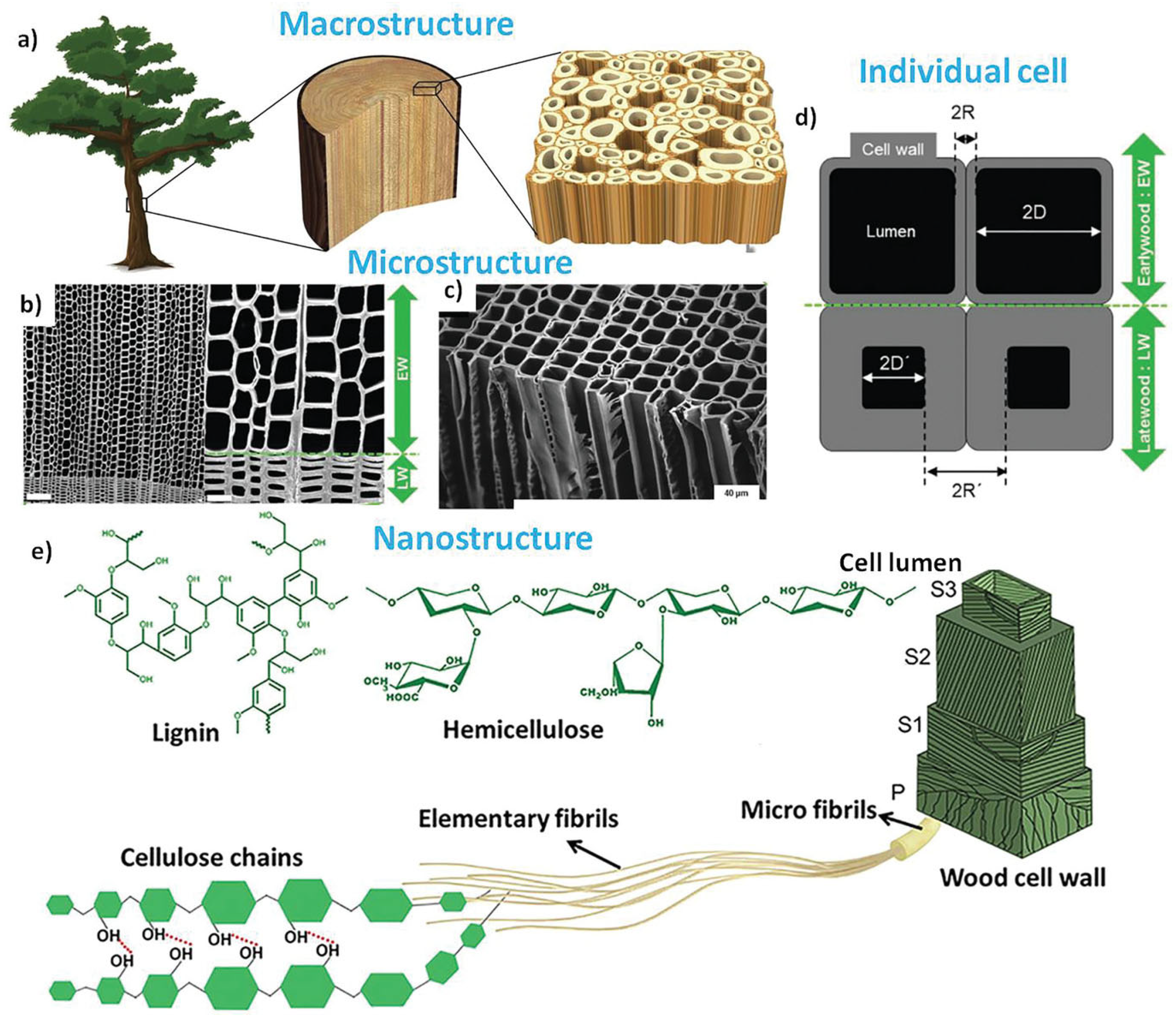 Coatings 14 01600 g002 Coatings 14 01600 g002