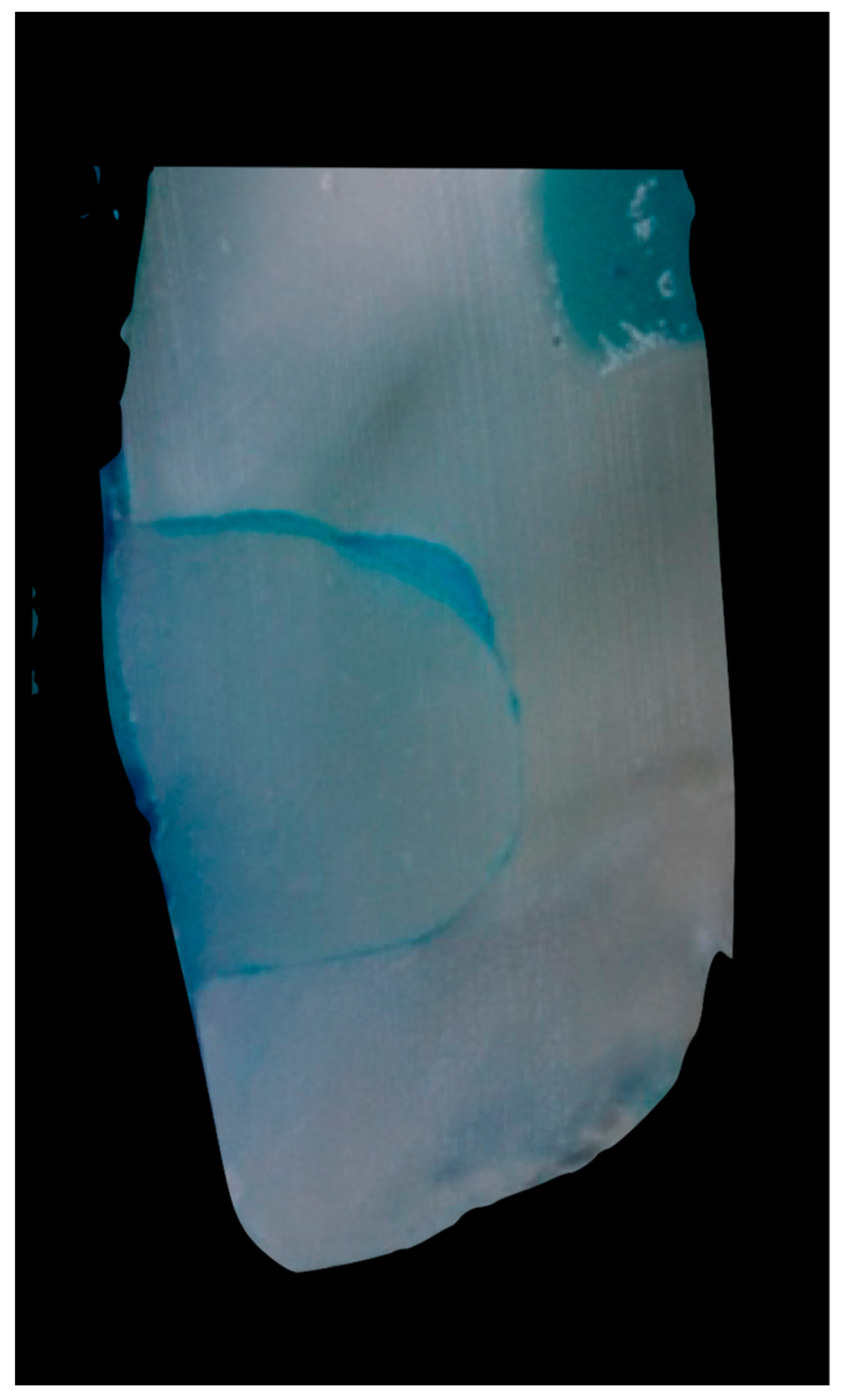 Coatings 14 01618 g005