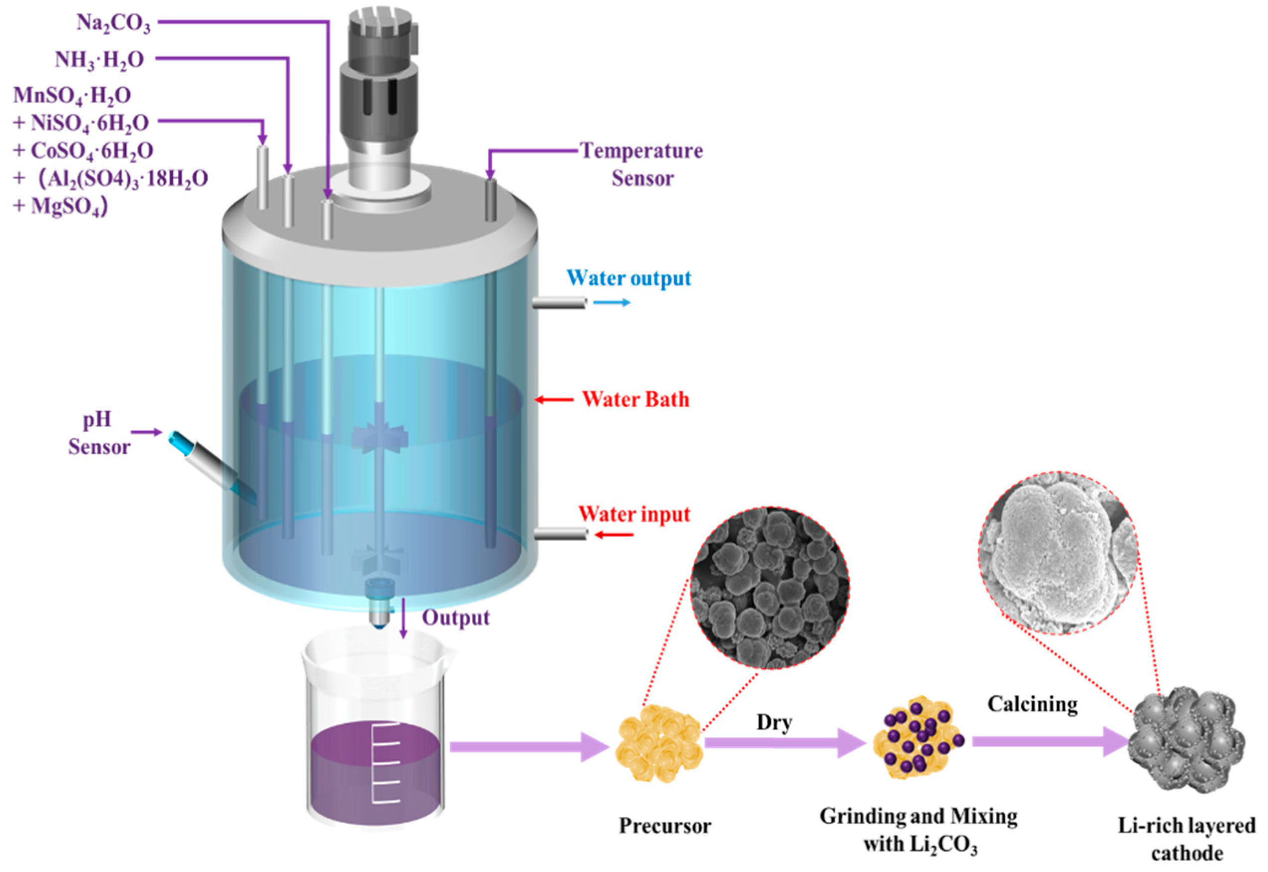Coatings 15 00003 g001