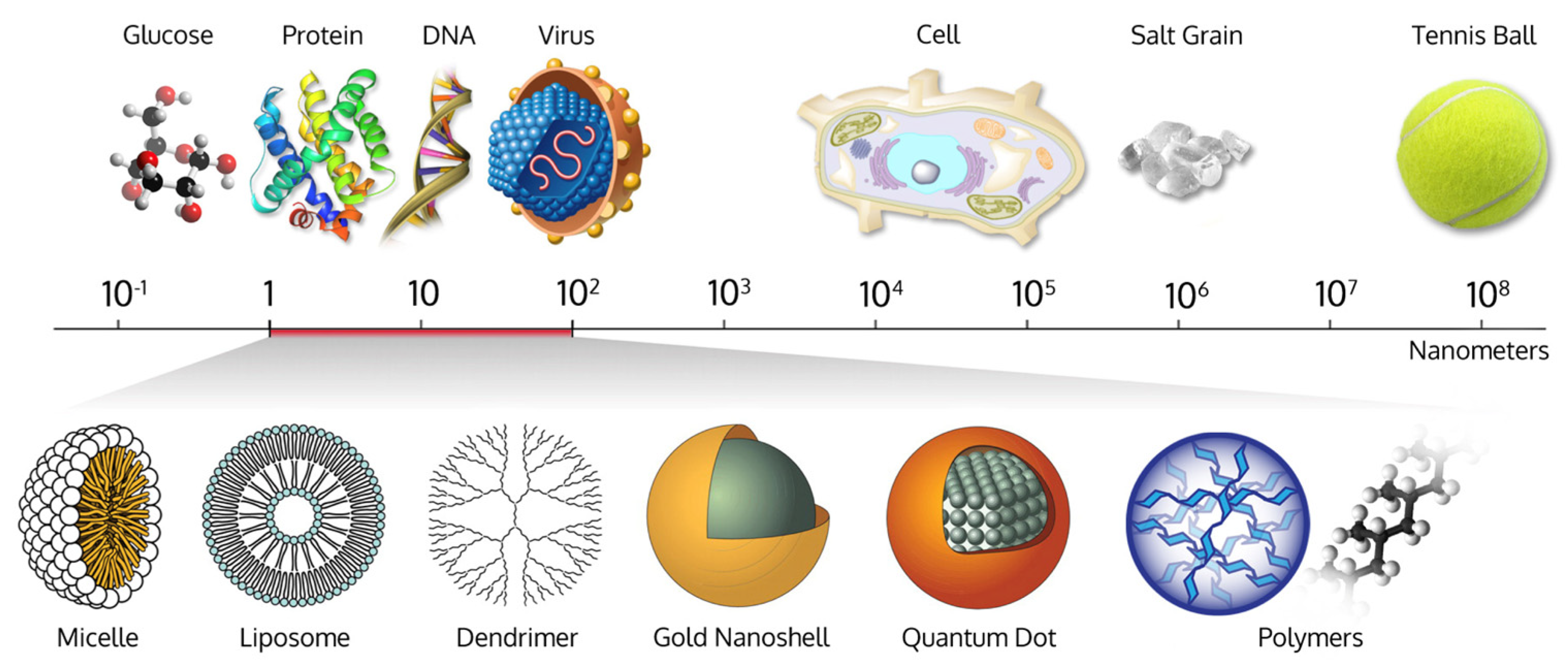 Coatings 15 00033 g002