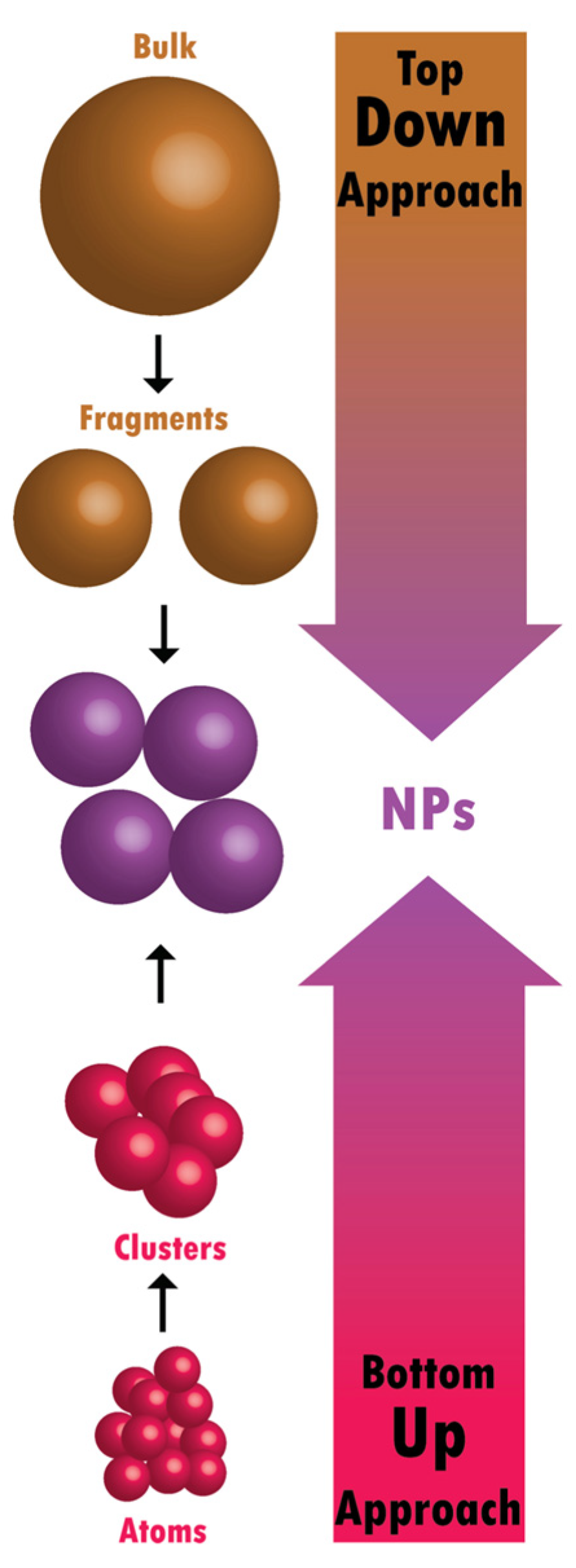 Coatings 15 00033 g003