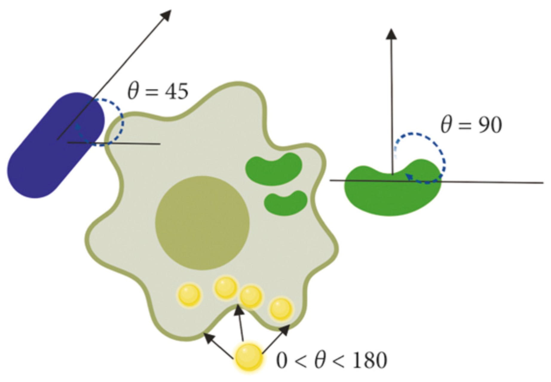 Coatings 15 00033 g006