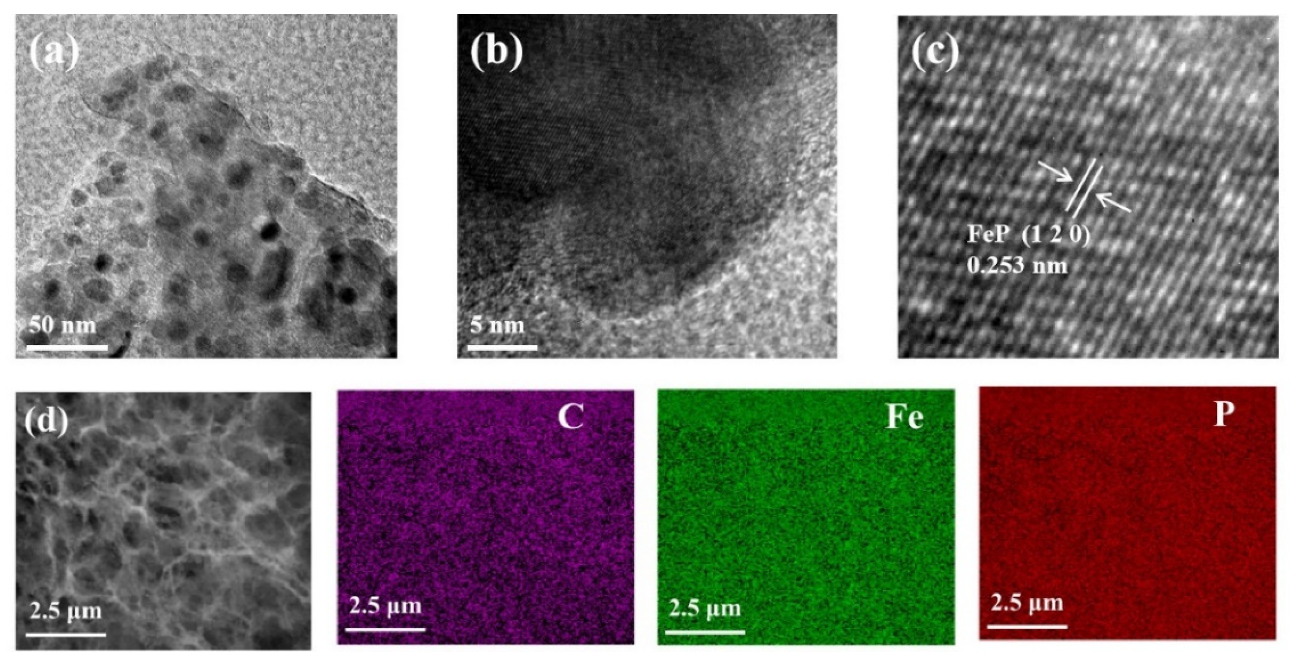 Coatings 15 00085 g002