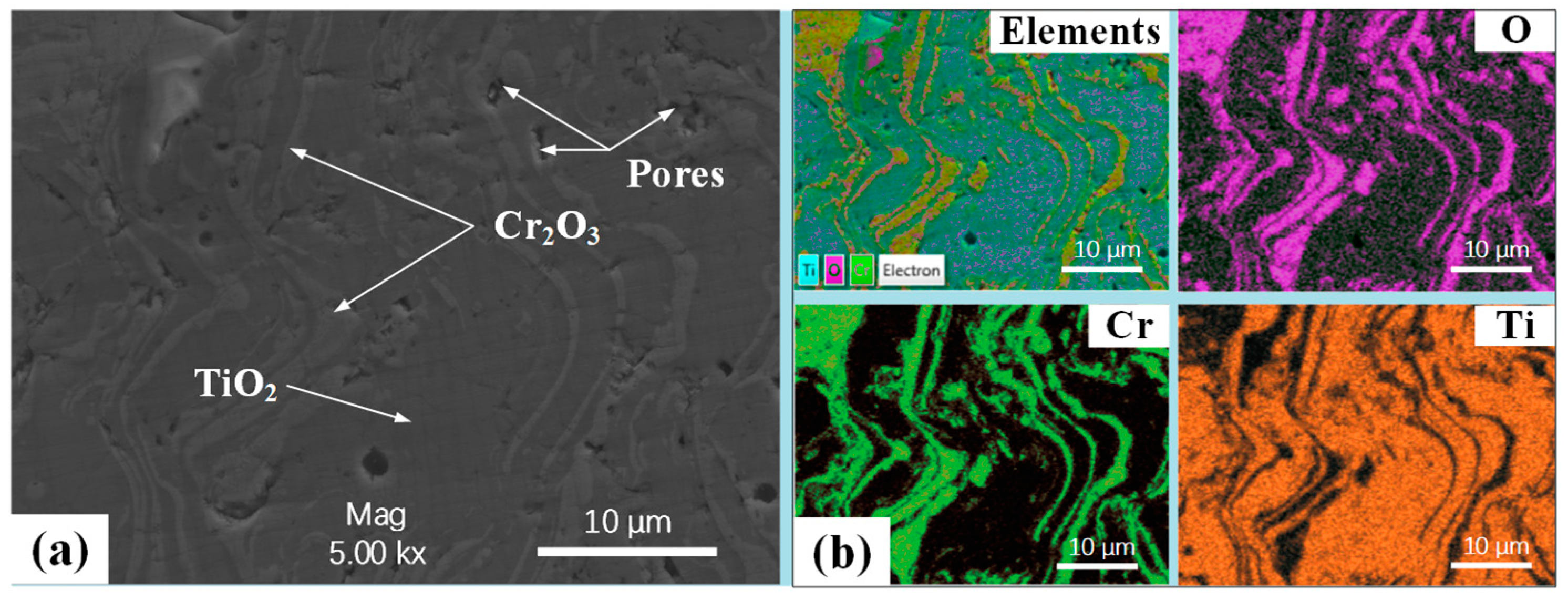 Coatings 15 00098 g003