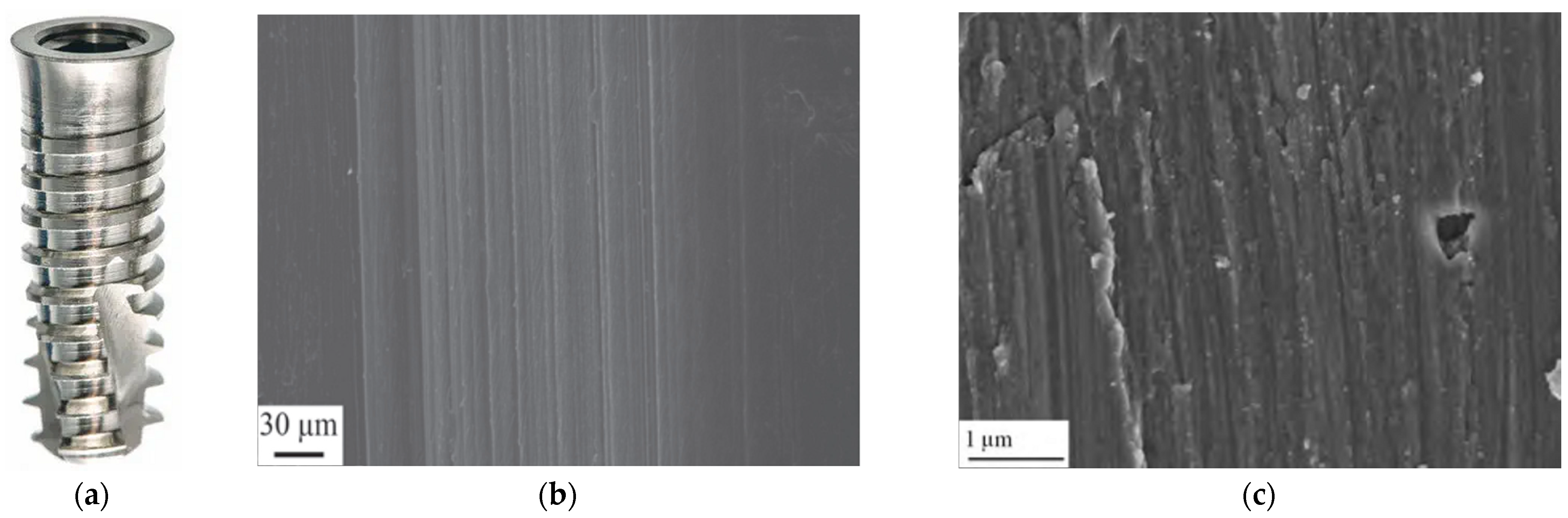 Coatings 15 00109 g003