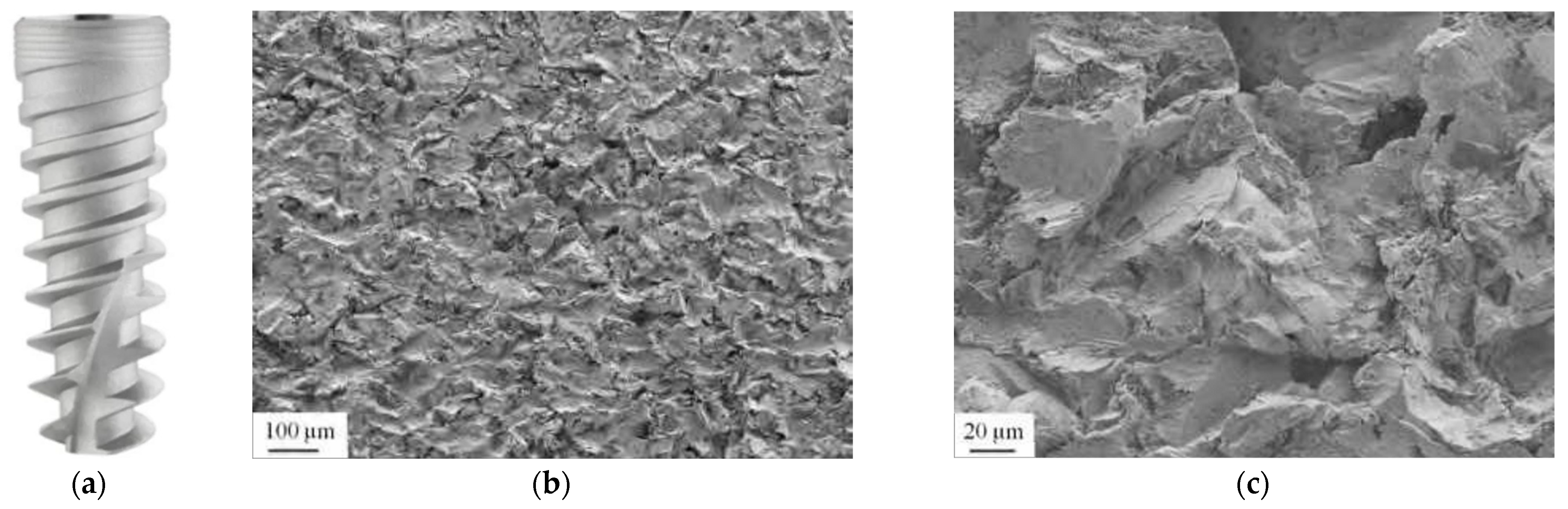 Coatings 15 00109 g005