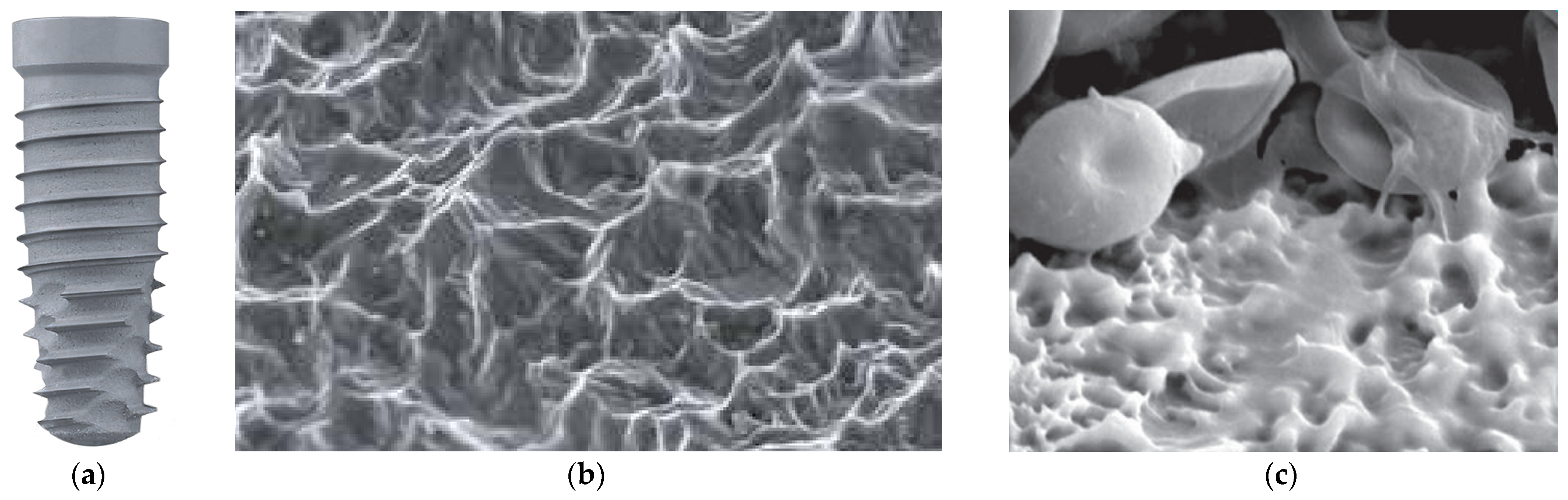 Coatings 15 00109 g007