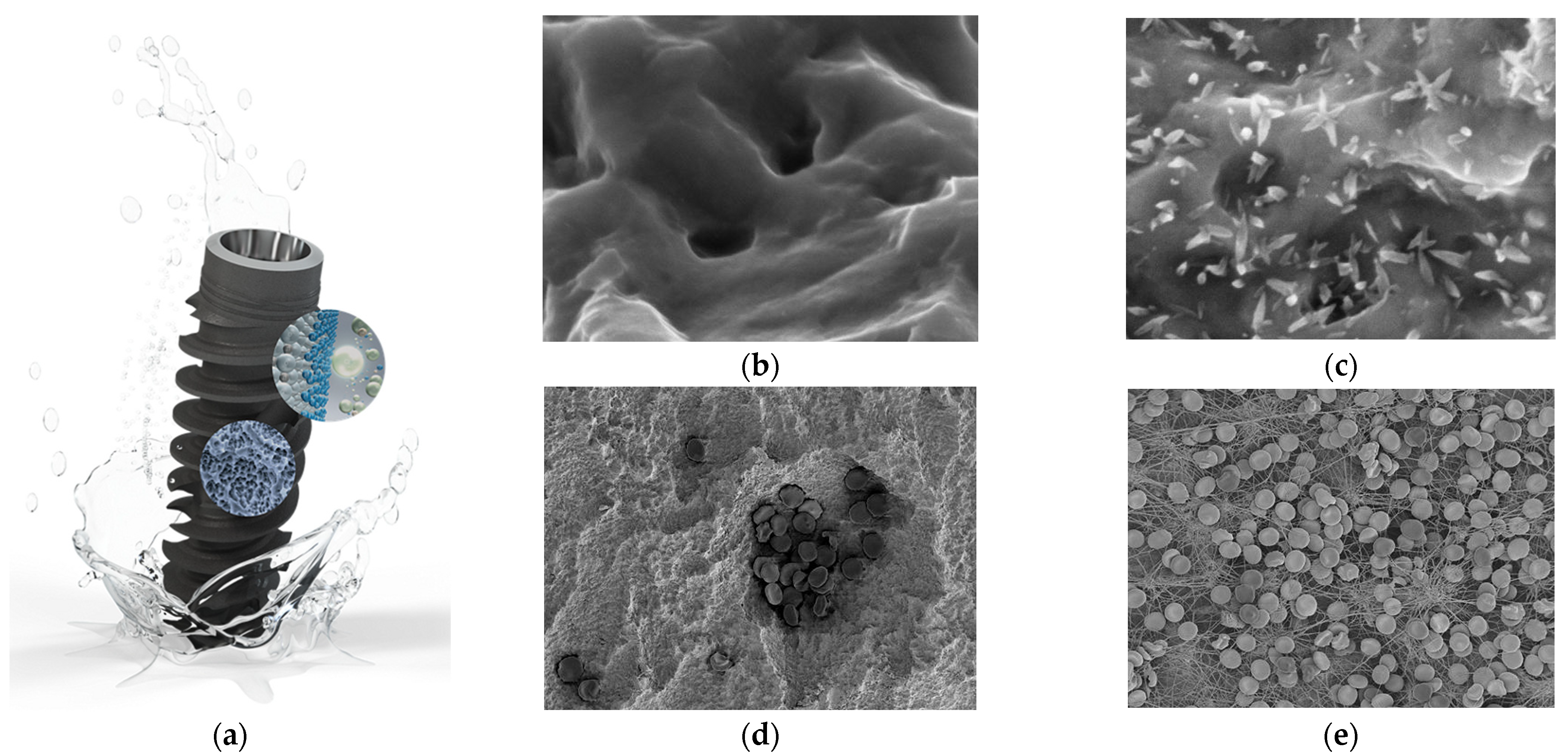 Coatings 15 00109 g010
