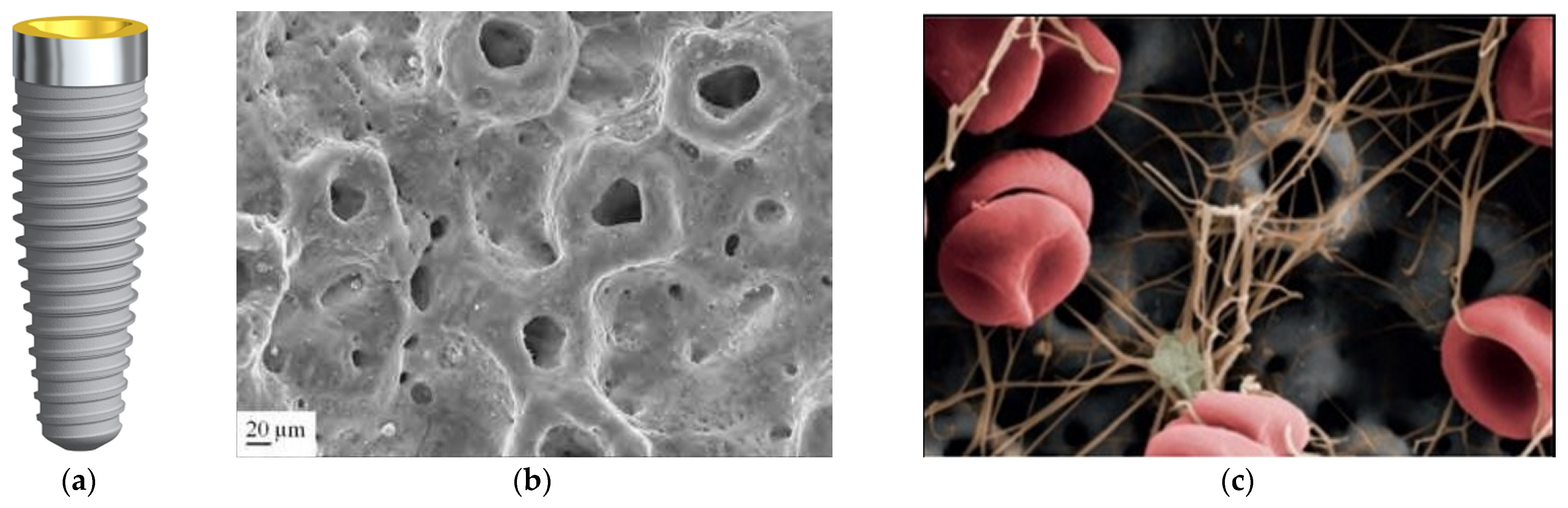 Coatings 15 00109 g011