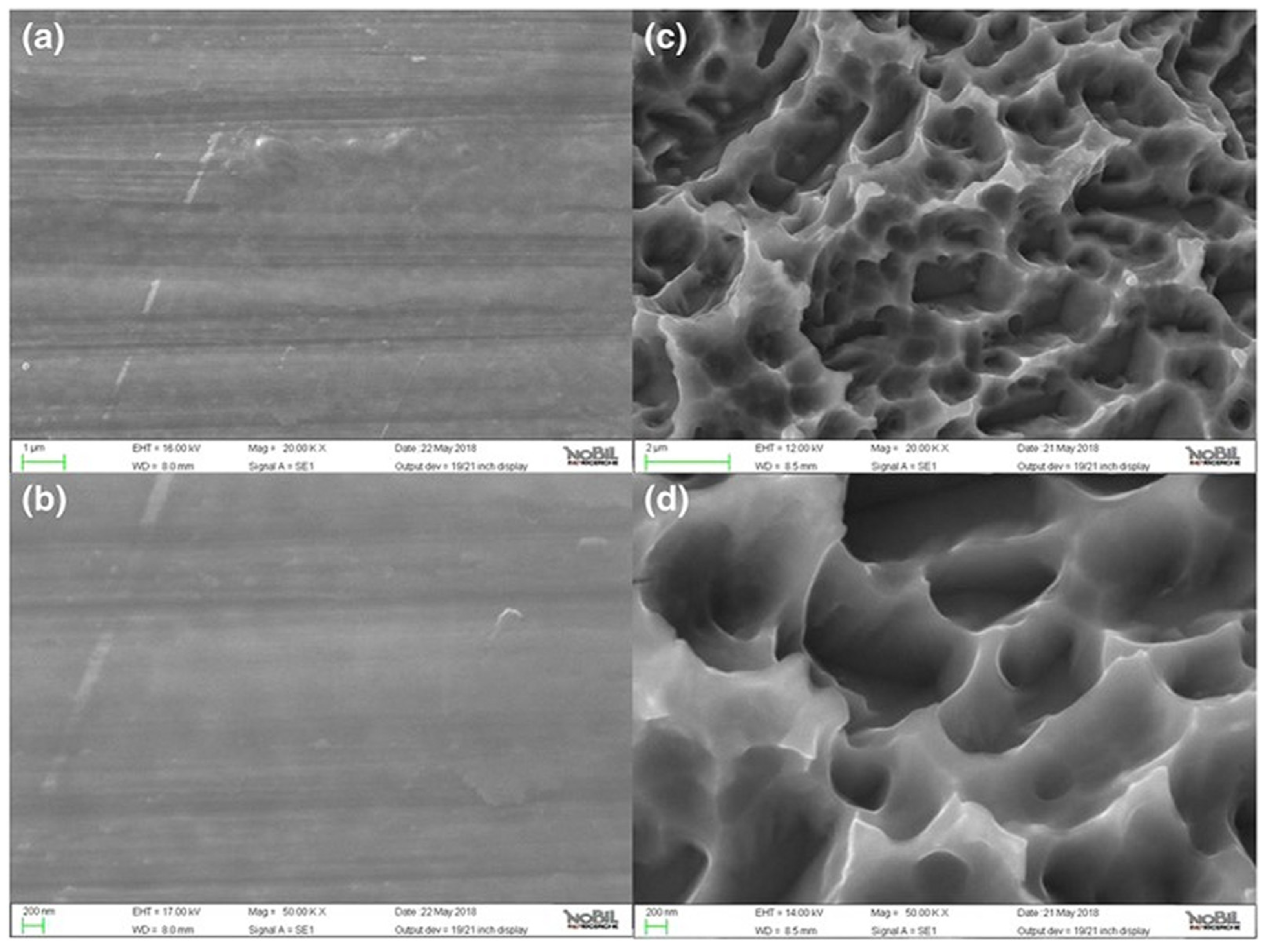 Coatings 15 00109 g014