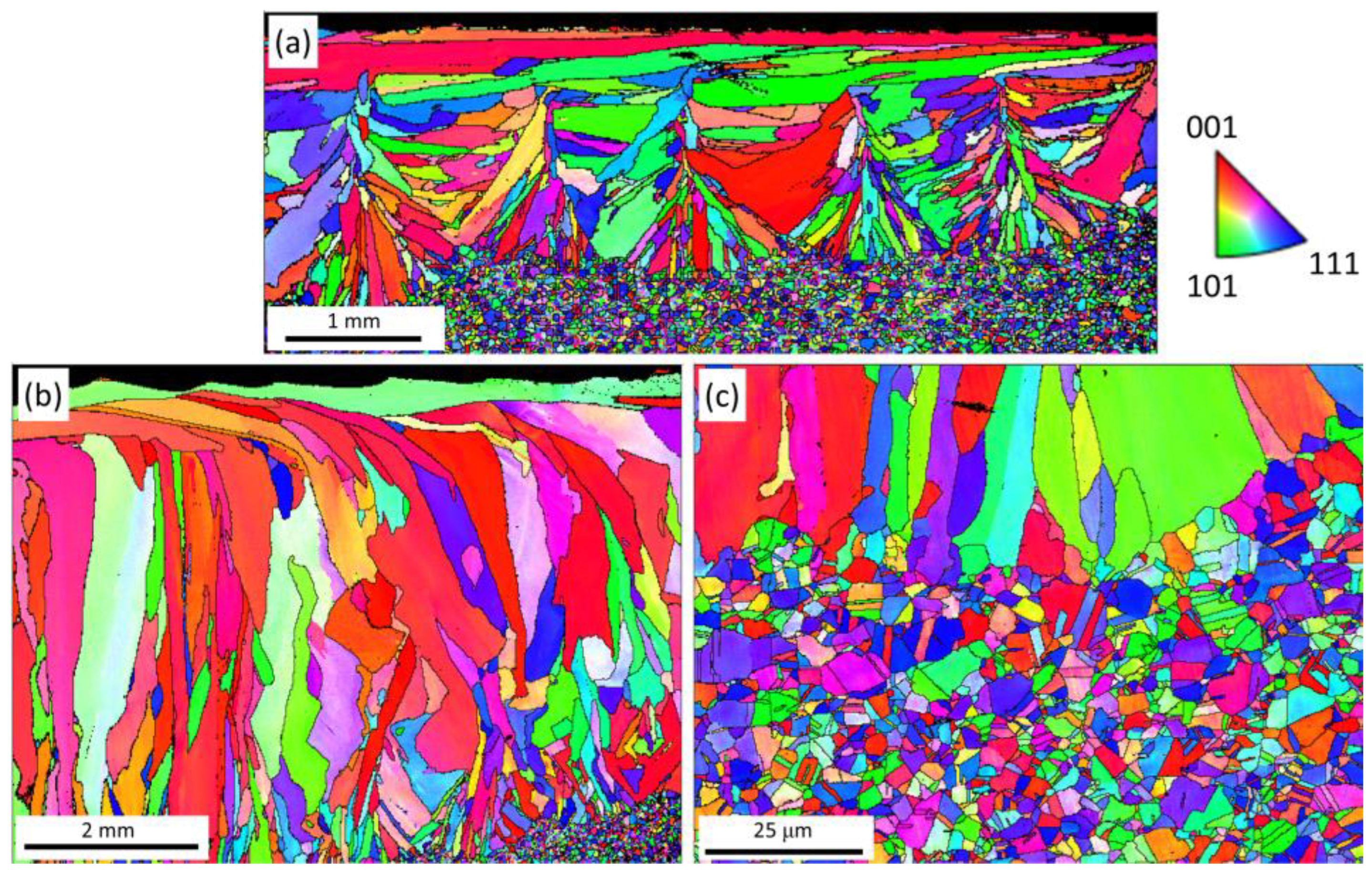 Coatings 15 00116 g004