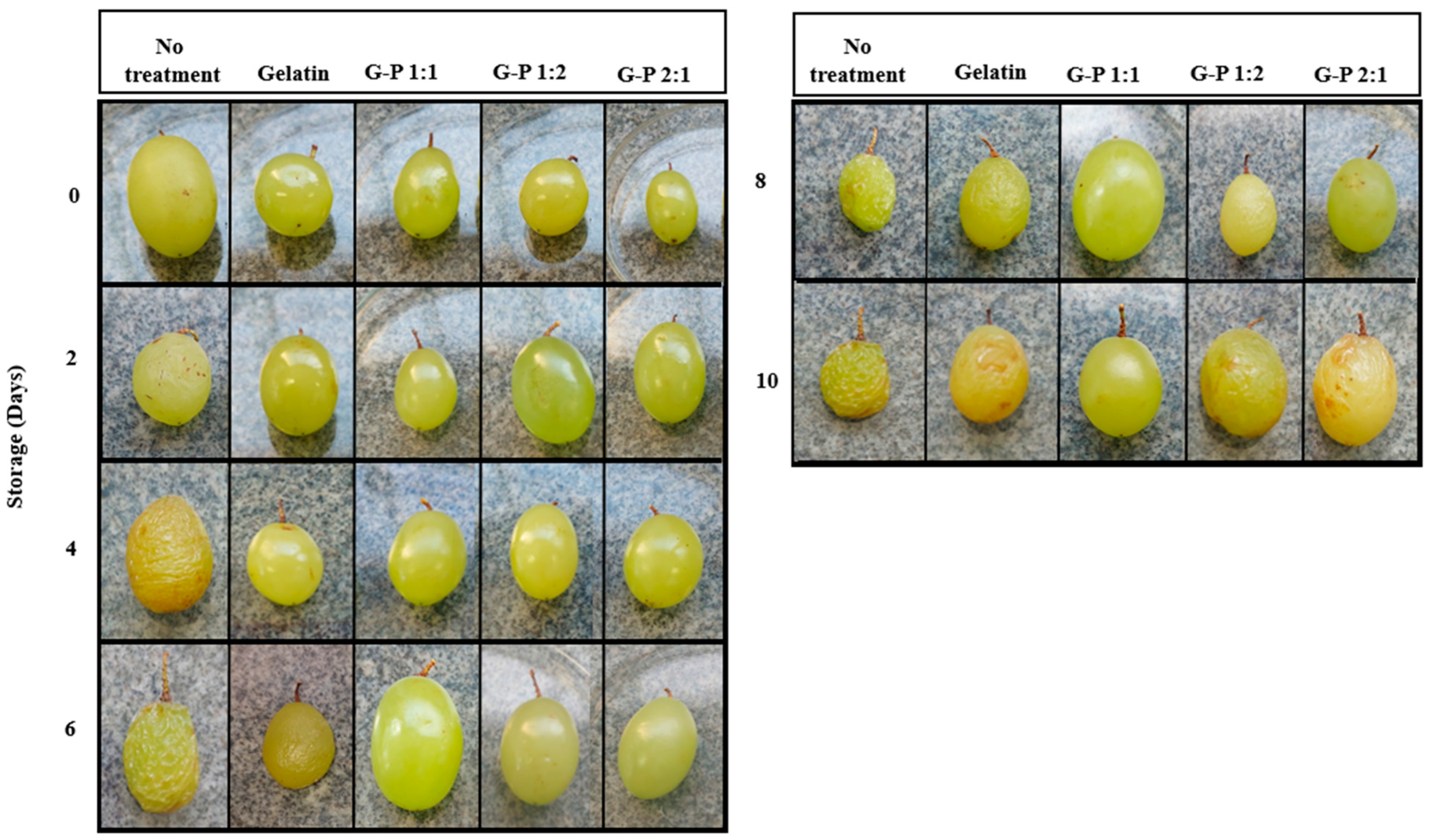 Coatings 15 00129 g005