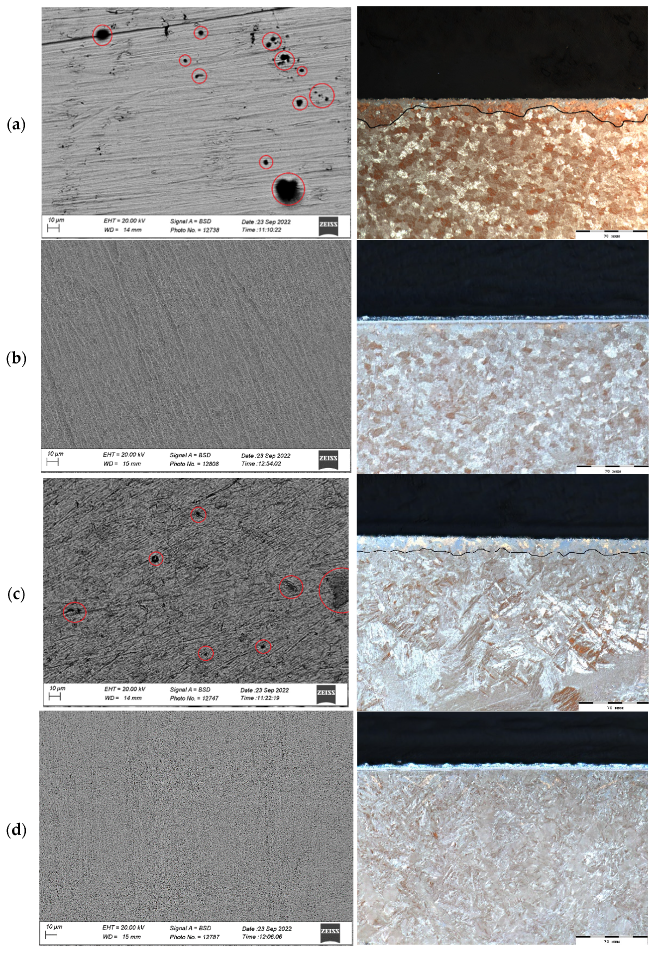 Coatings 15 00133 g003