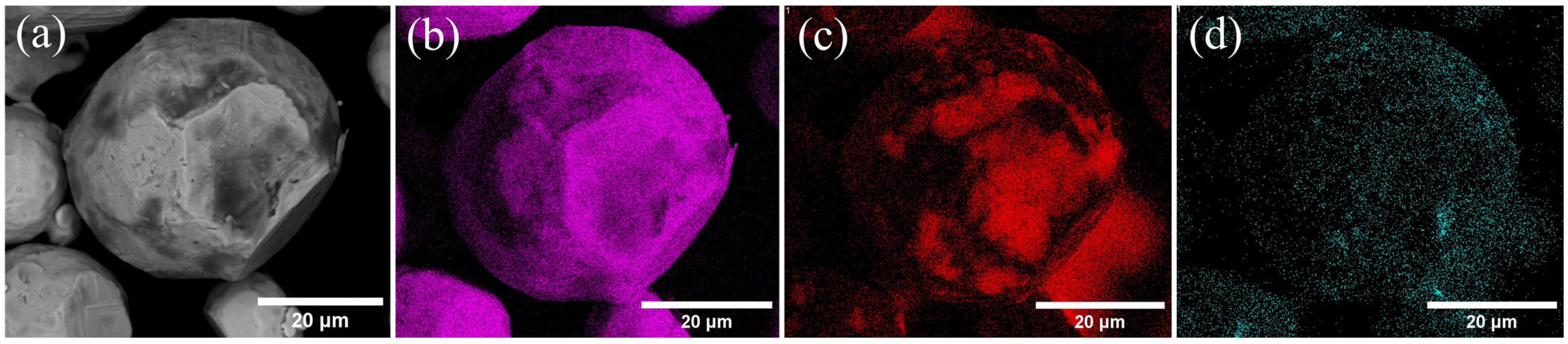 Coatings 15 00153 g002